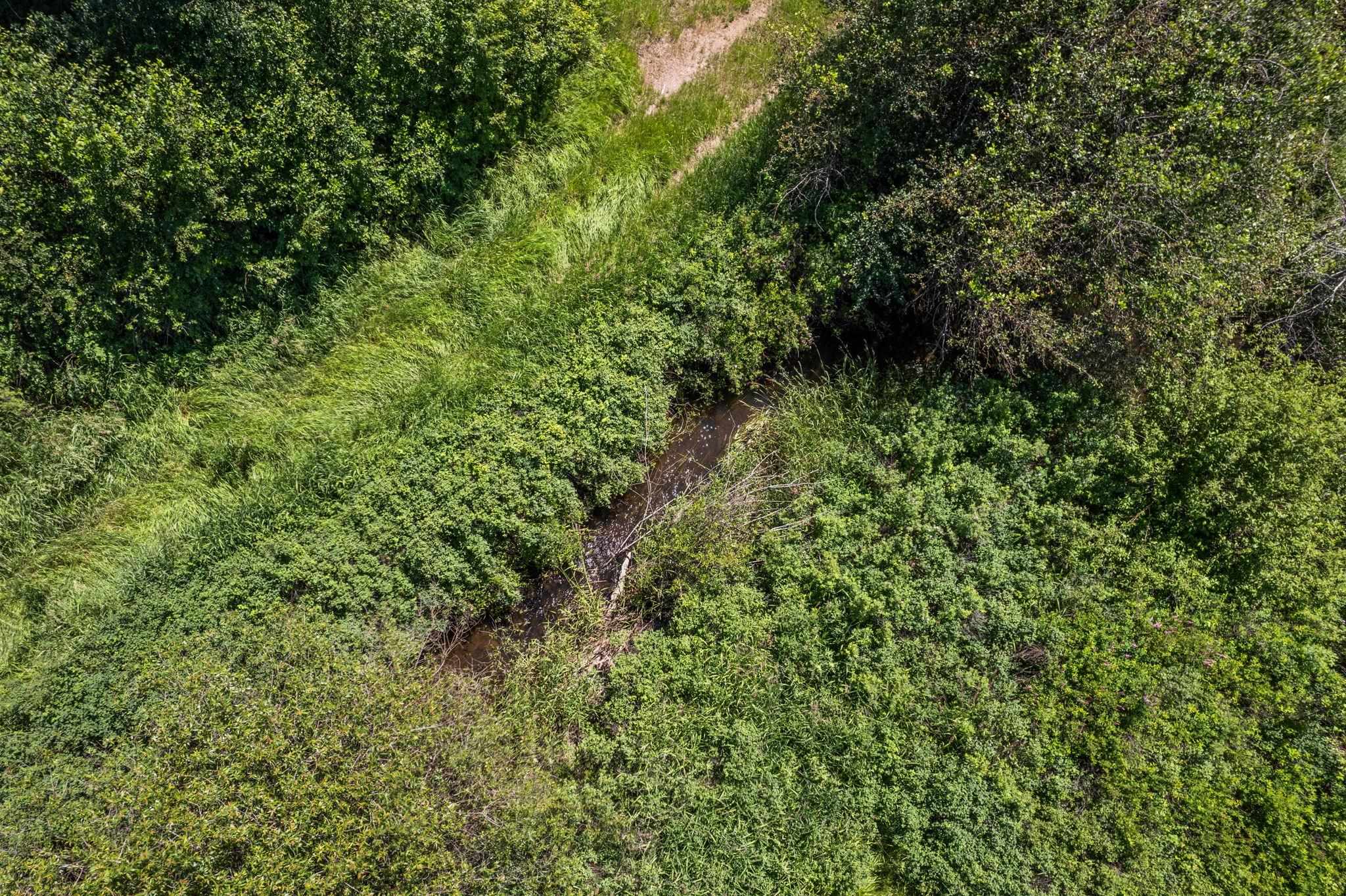 20141 N Bernhill Rd - Photo 9