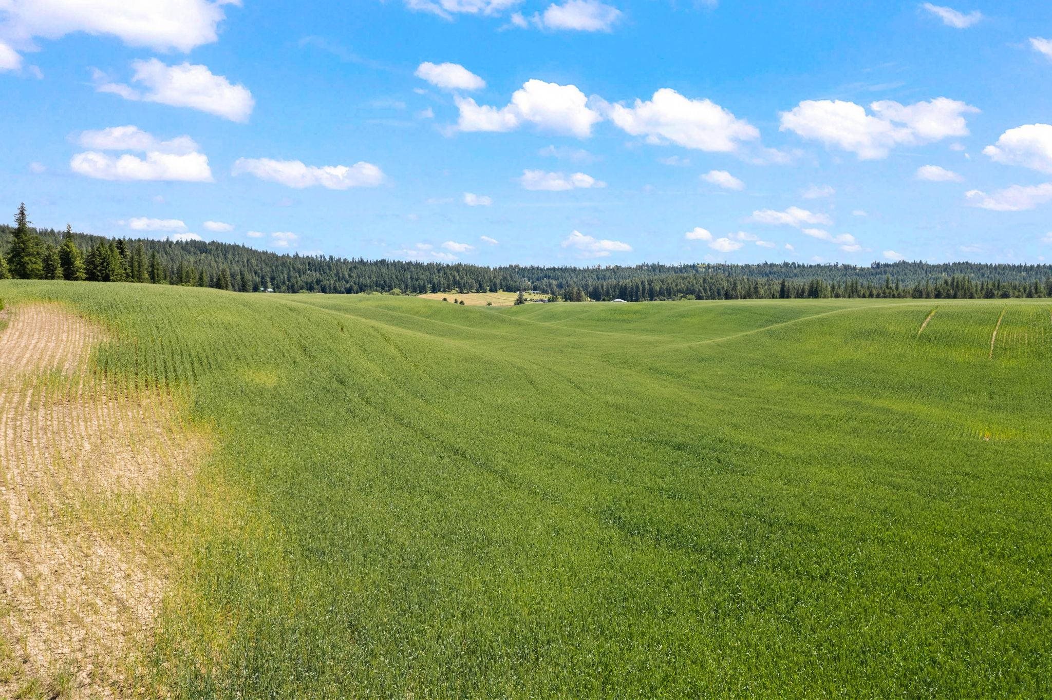 20141 N Bernhill Rd - Photo 8