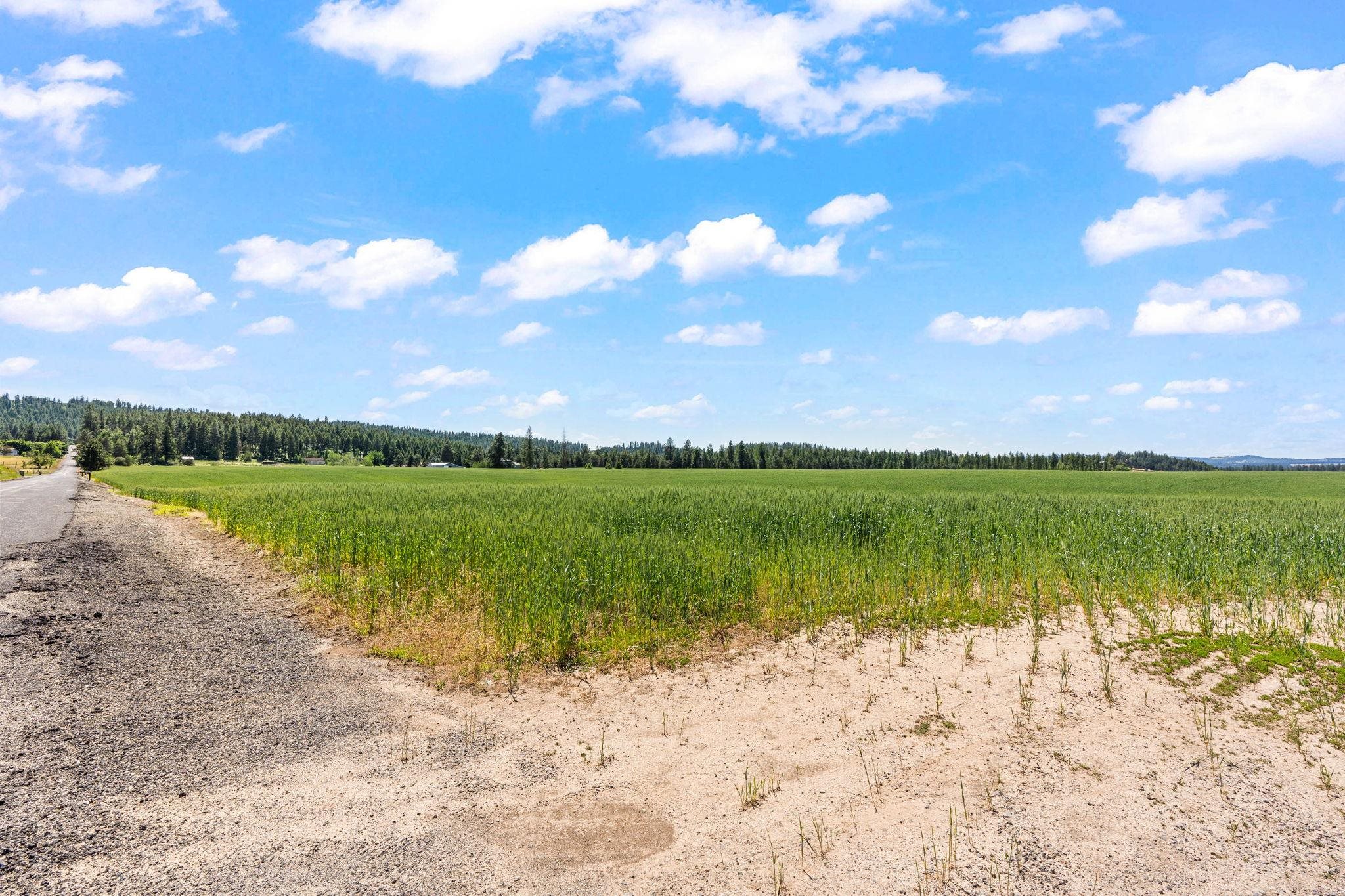 20141 N Bernhill Rd - Photo 7