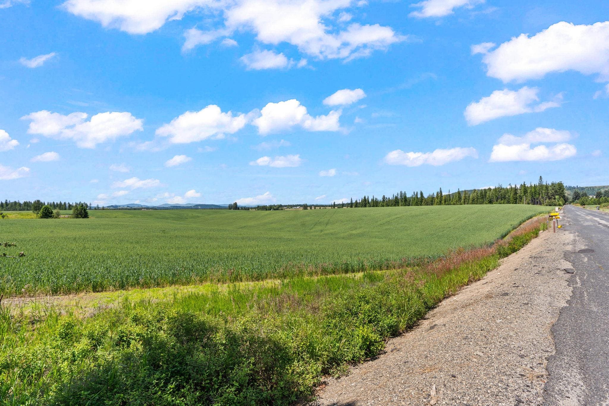 20141 N Bernhill Rd - Photo 6