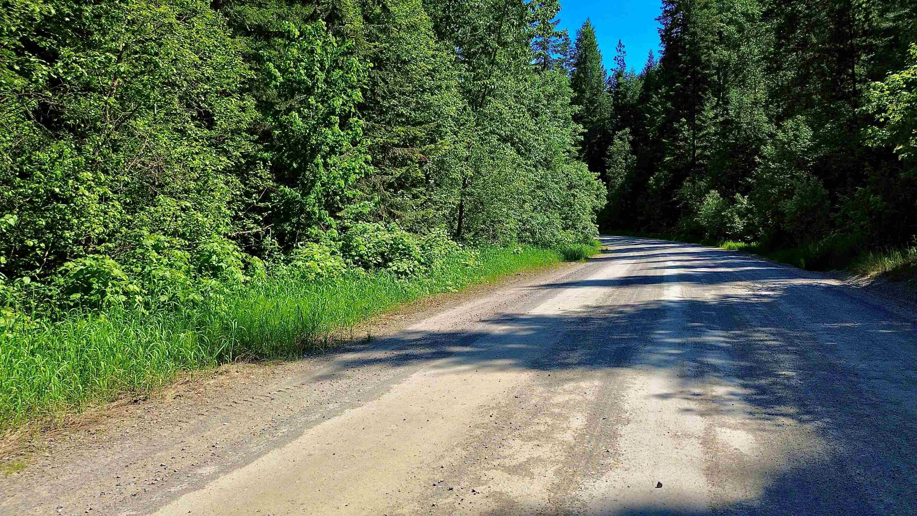NNA McCloud Creek Rd - Photo 3