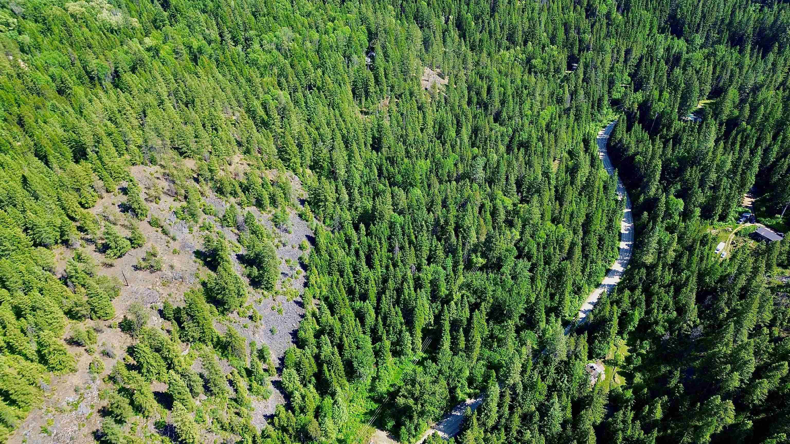 NNA McCloud Creek Rd - Photo 5