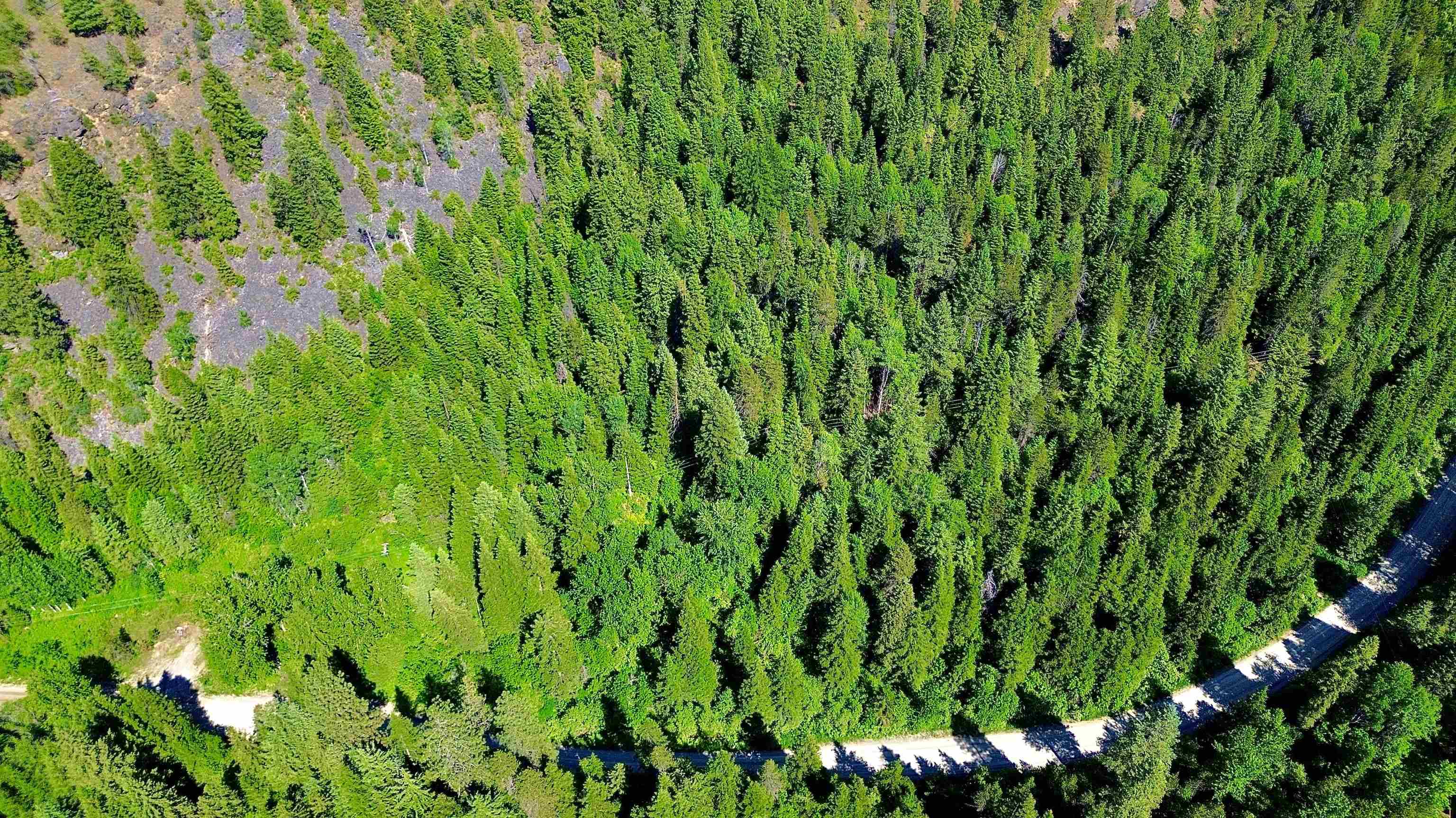 NNA McCloud Creek Rd - Photo 7