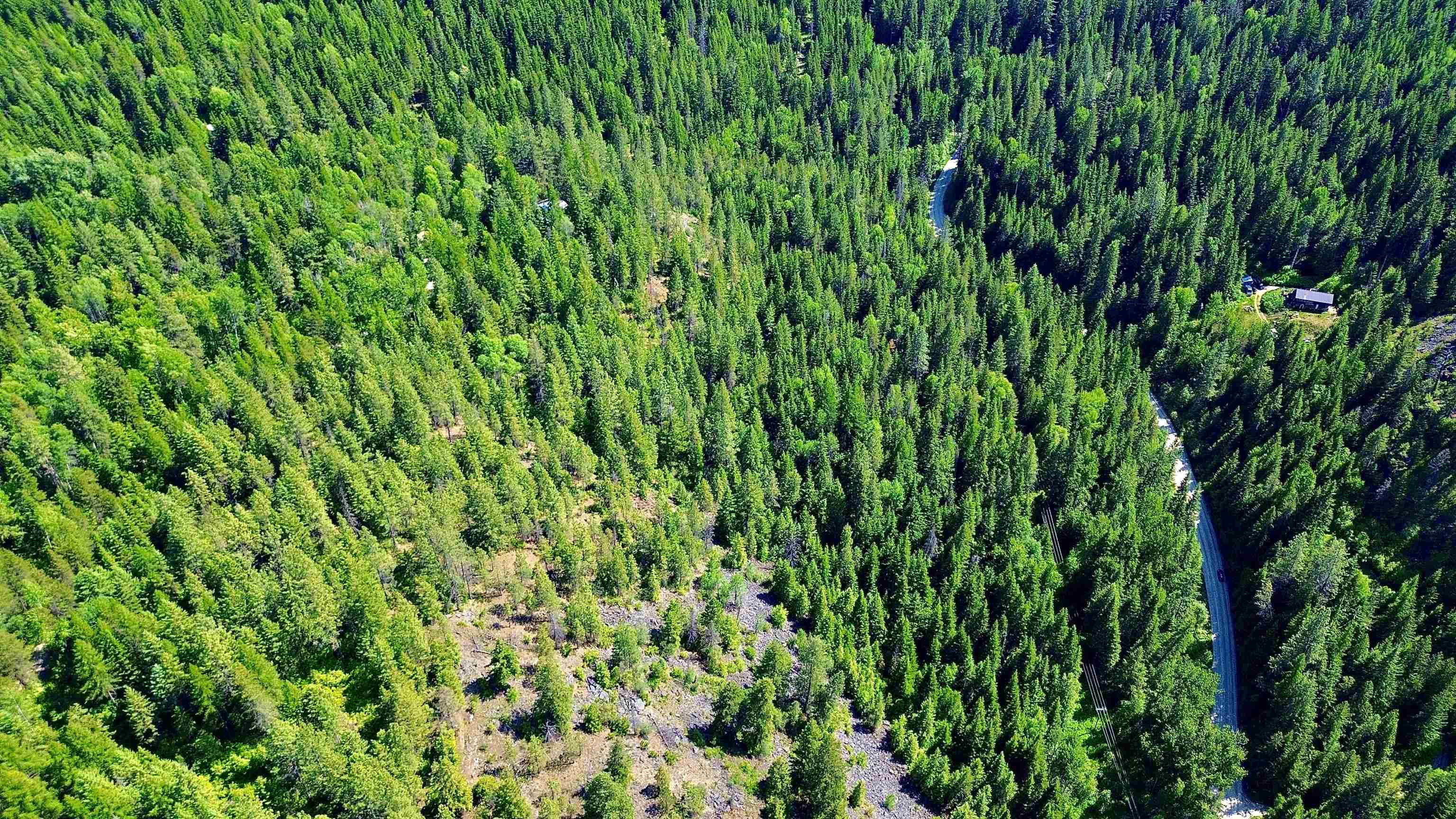 NNA McCloud Creek Rd - Photo 8