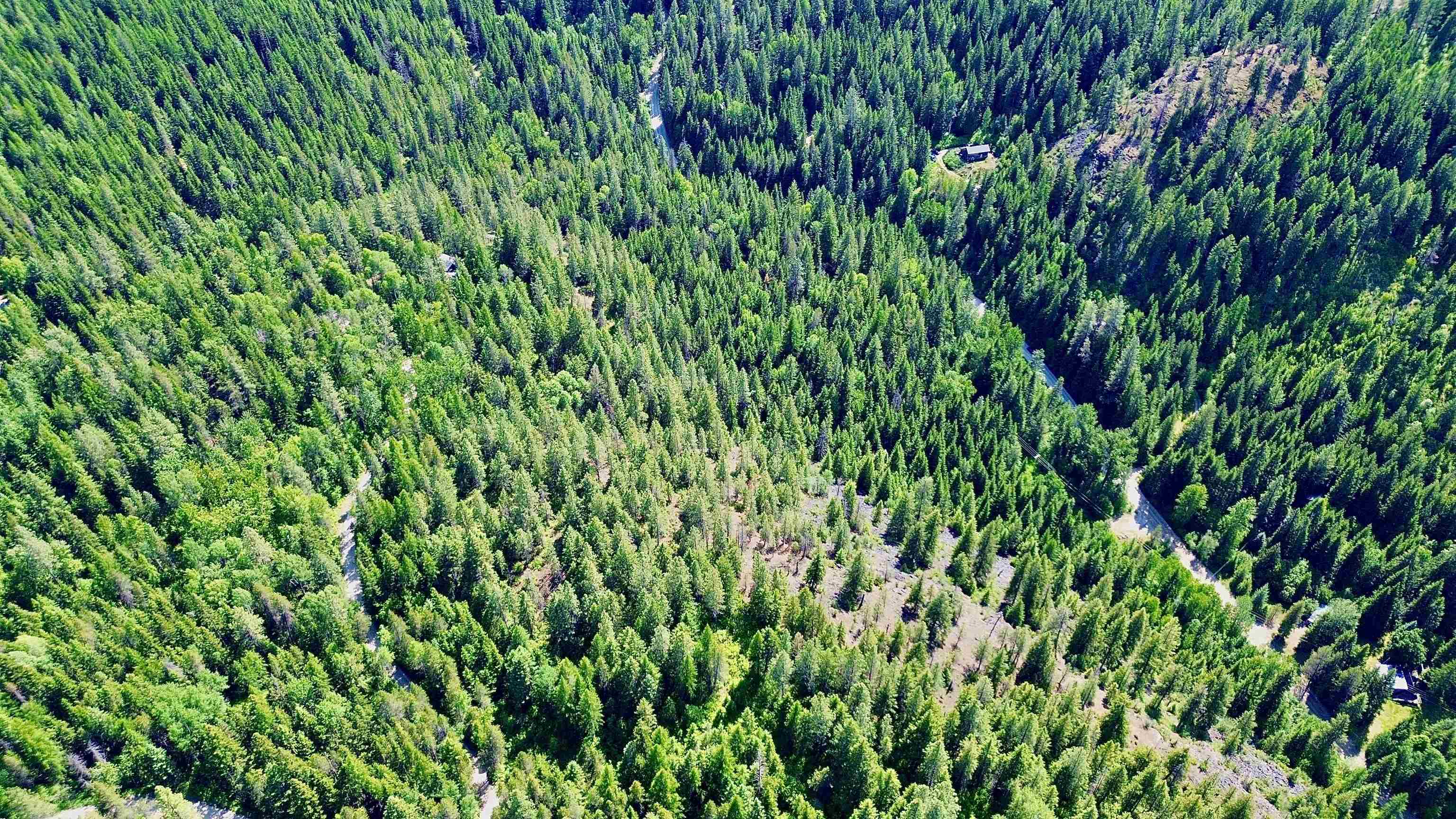 NNA McCloud Creek Rd - Photo 13