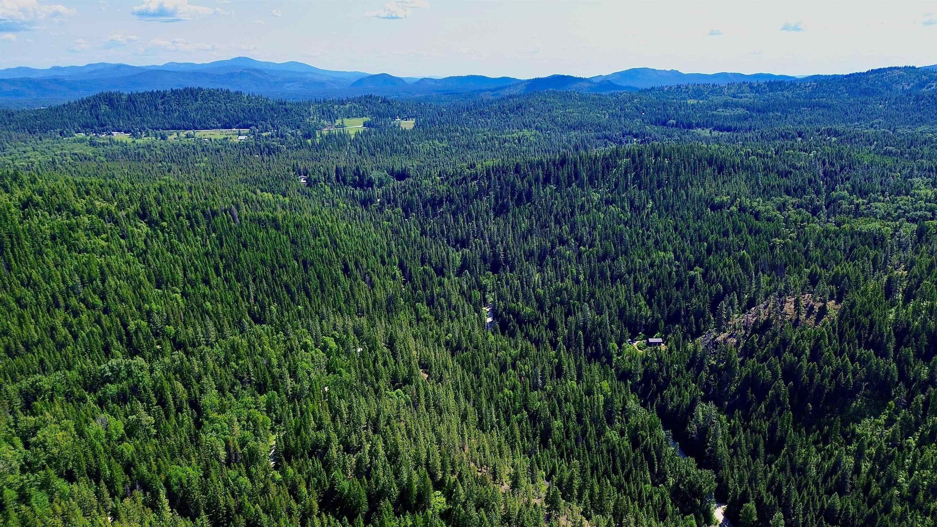 NNA McCloud Creek Rd - Photo 17