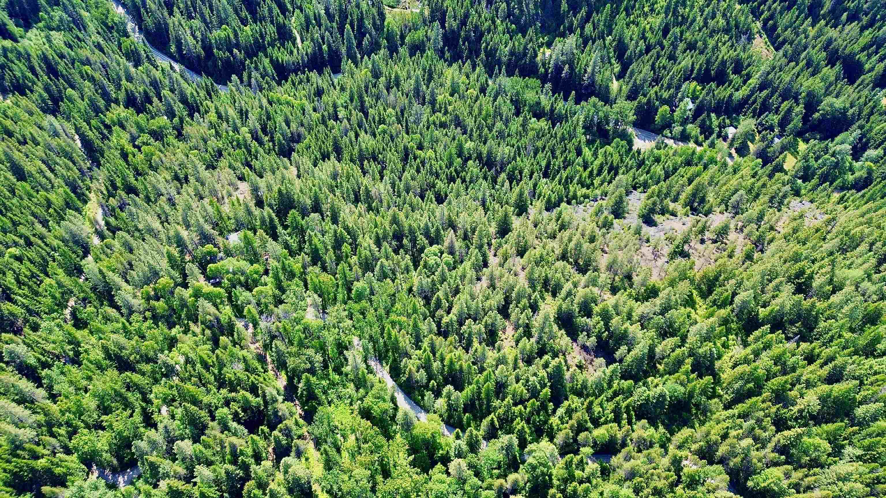 NNA McCloud Creek Rd - Photo 18