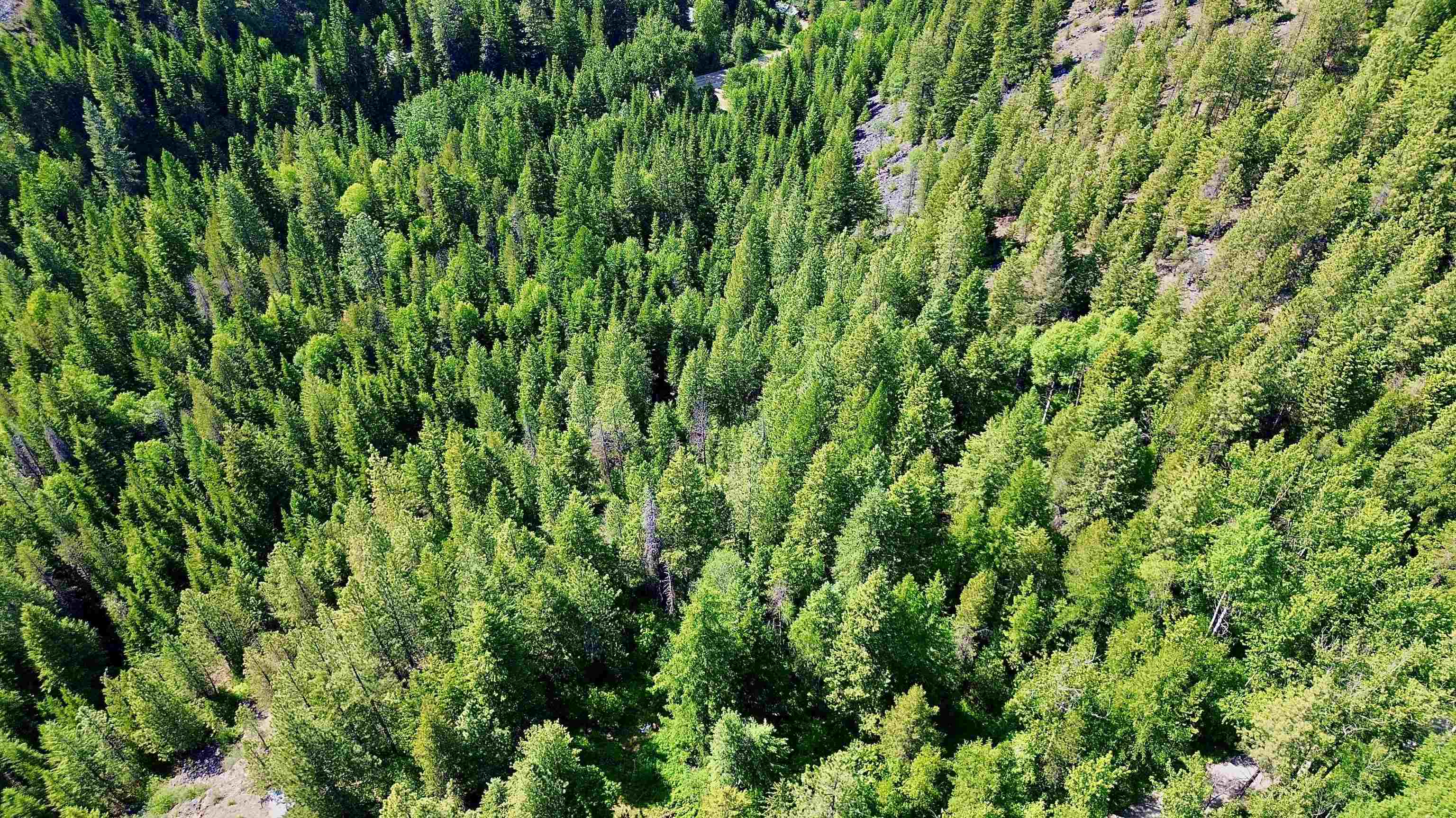 NNA McCloud Creek Rd - Photo 39