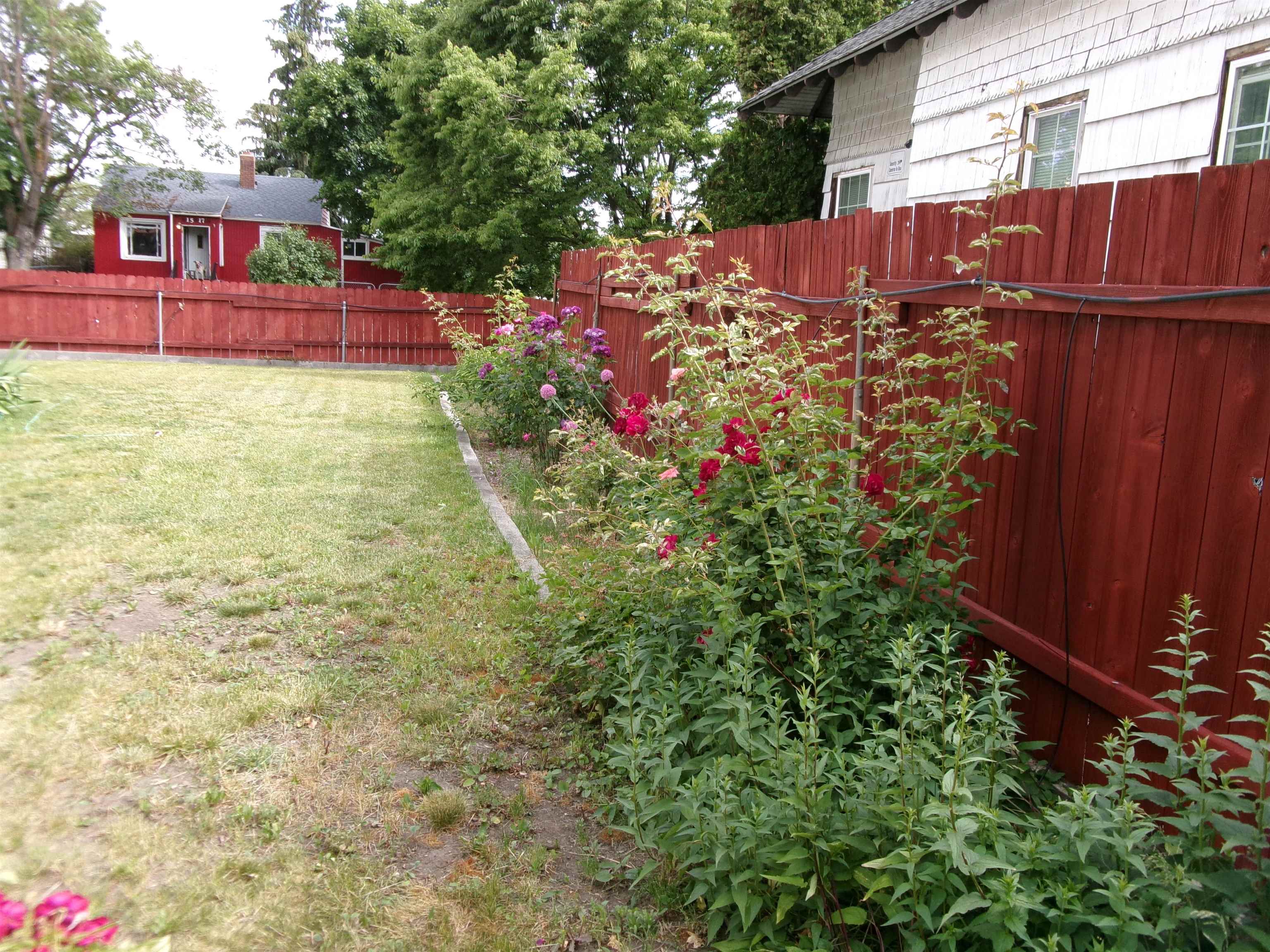 1520 E 1st Ave - Photo 18