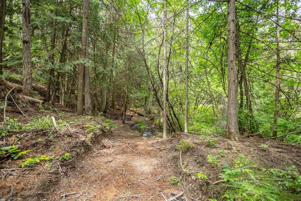 2313 Hickey Way - Photo 28