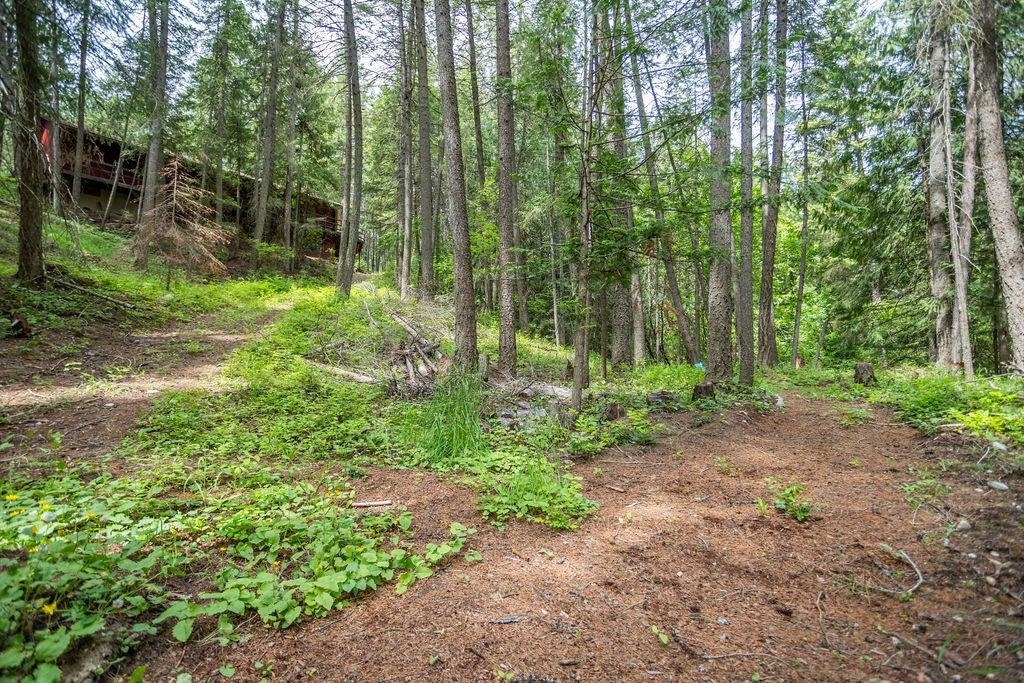 2313 Hickey Way - Photo 29