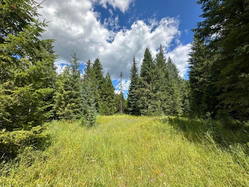 3331 Deep Lake Boundary Rd - Photo 4