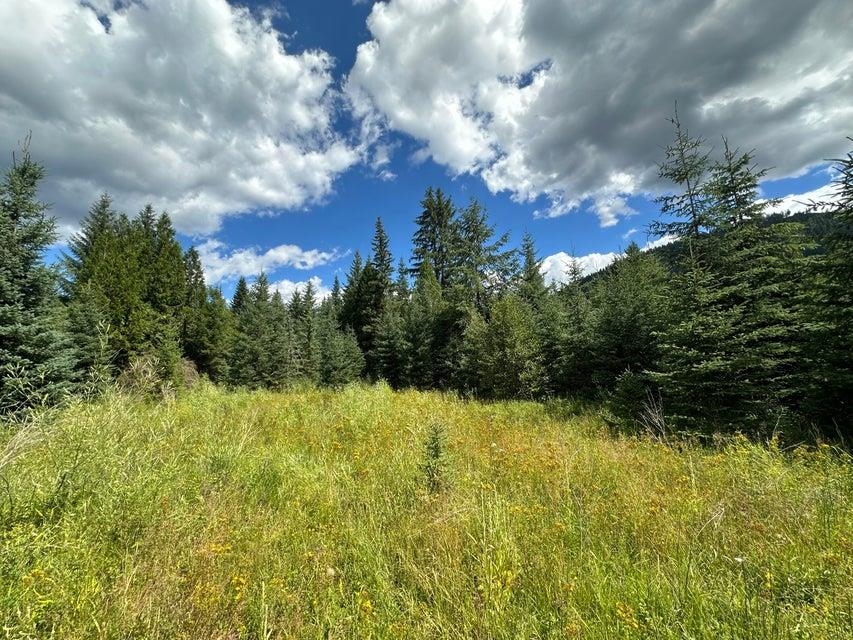 3331 Deep Lake Boundary Rd - Photo 5