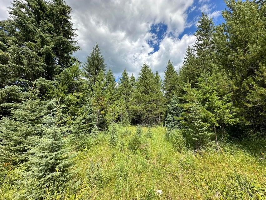 3331 Deep Lake Boundary Rd - Photo 6