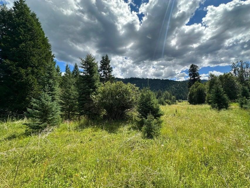 3331 Deep Lake Boundary Rd - Photo 7