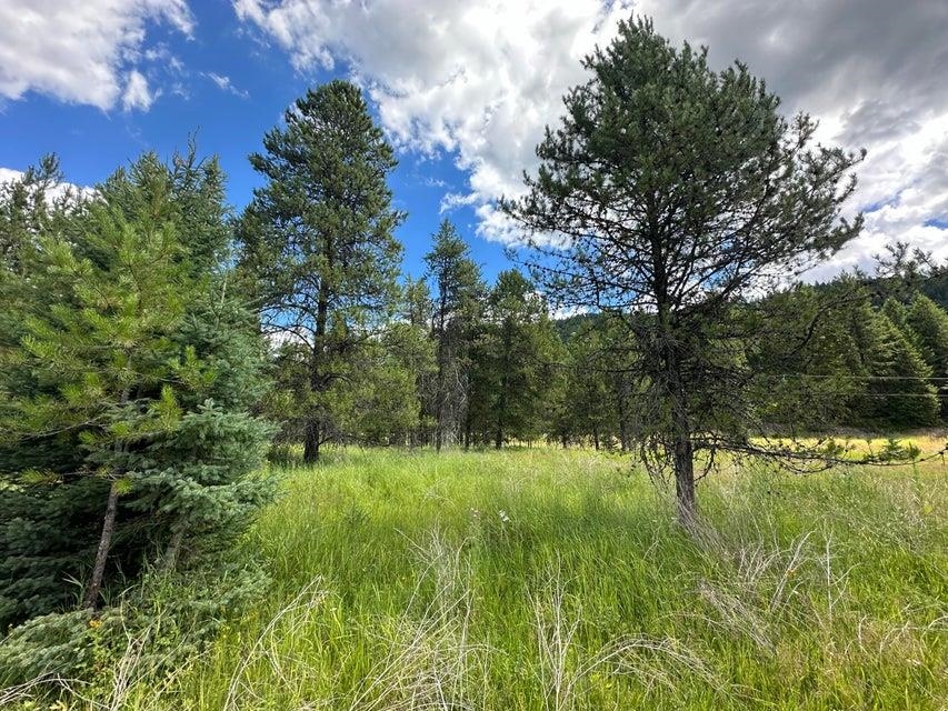 3331 Deep Lake Boundary Rd - Photo 8