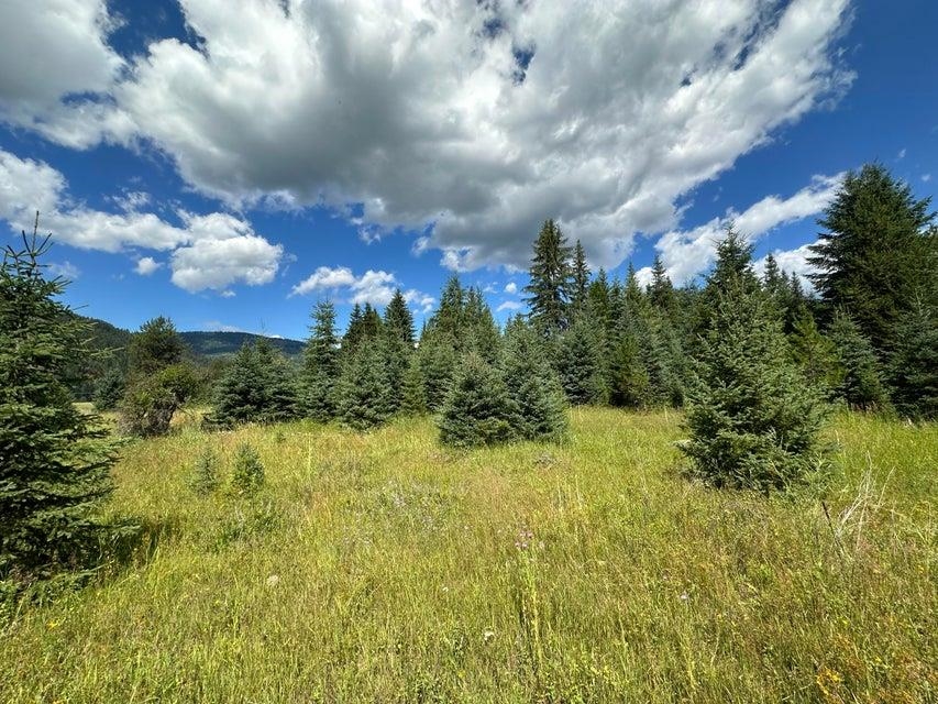 3331 Deep Lake Boundary Rd - Photo 9