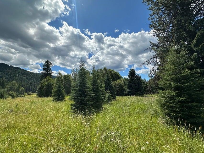 3331 Deep Lake Boundary Rd - Photo 10