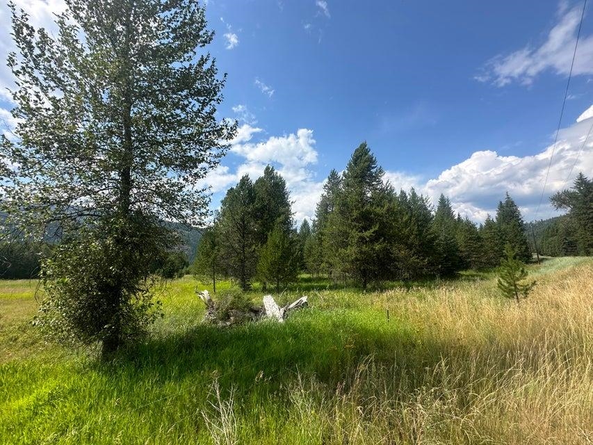 3331 Deep Lake Boundary Rd - Photo 12