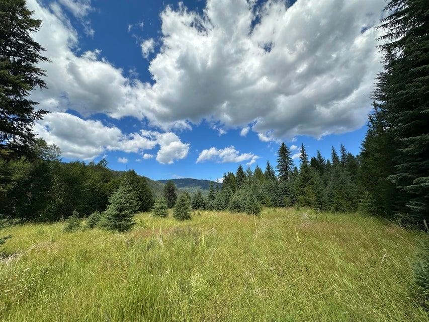 3331 Deep Lake Boundary Rd - Photo 13