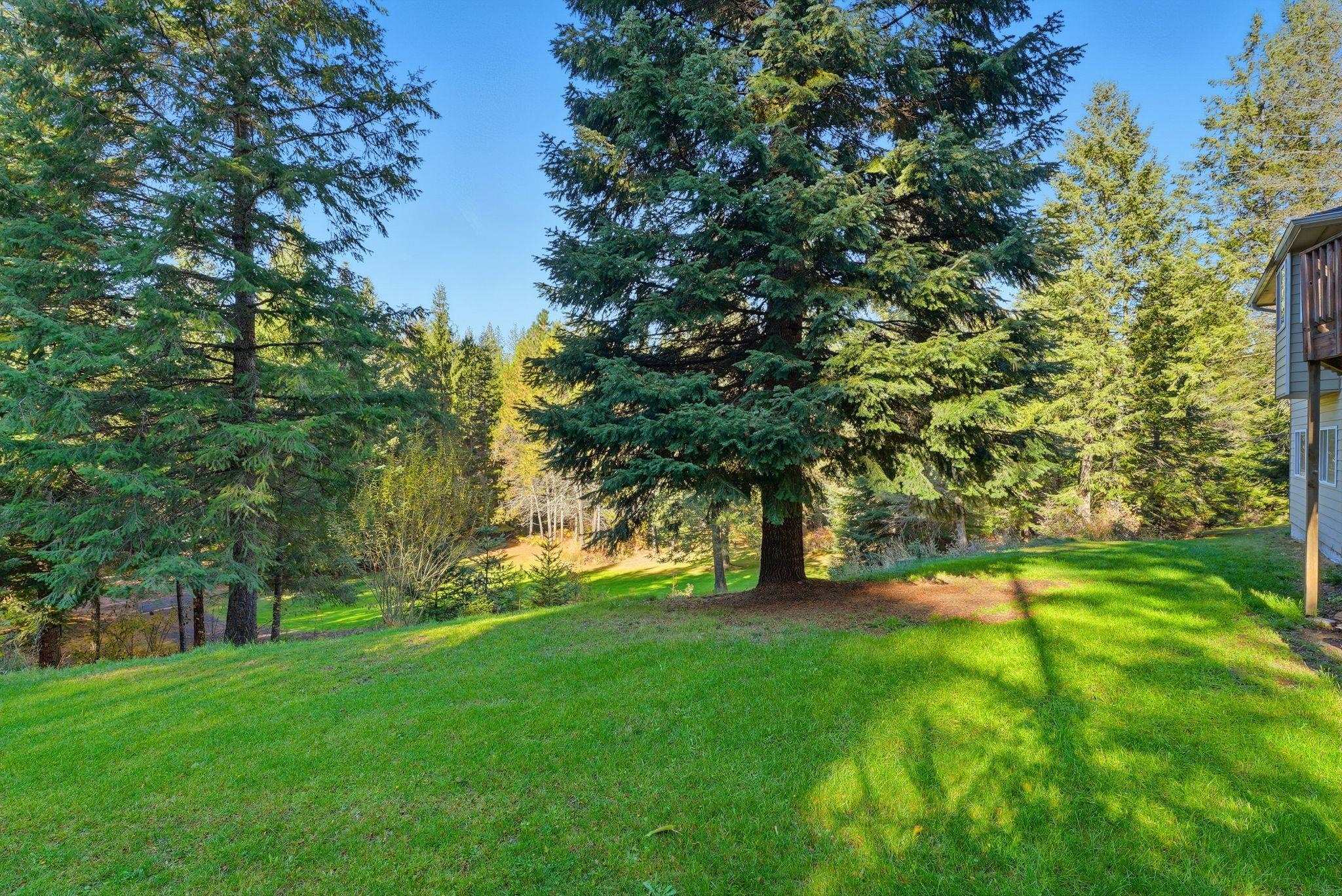 30324 N Elk Chattaroy Rd - Photo 37