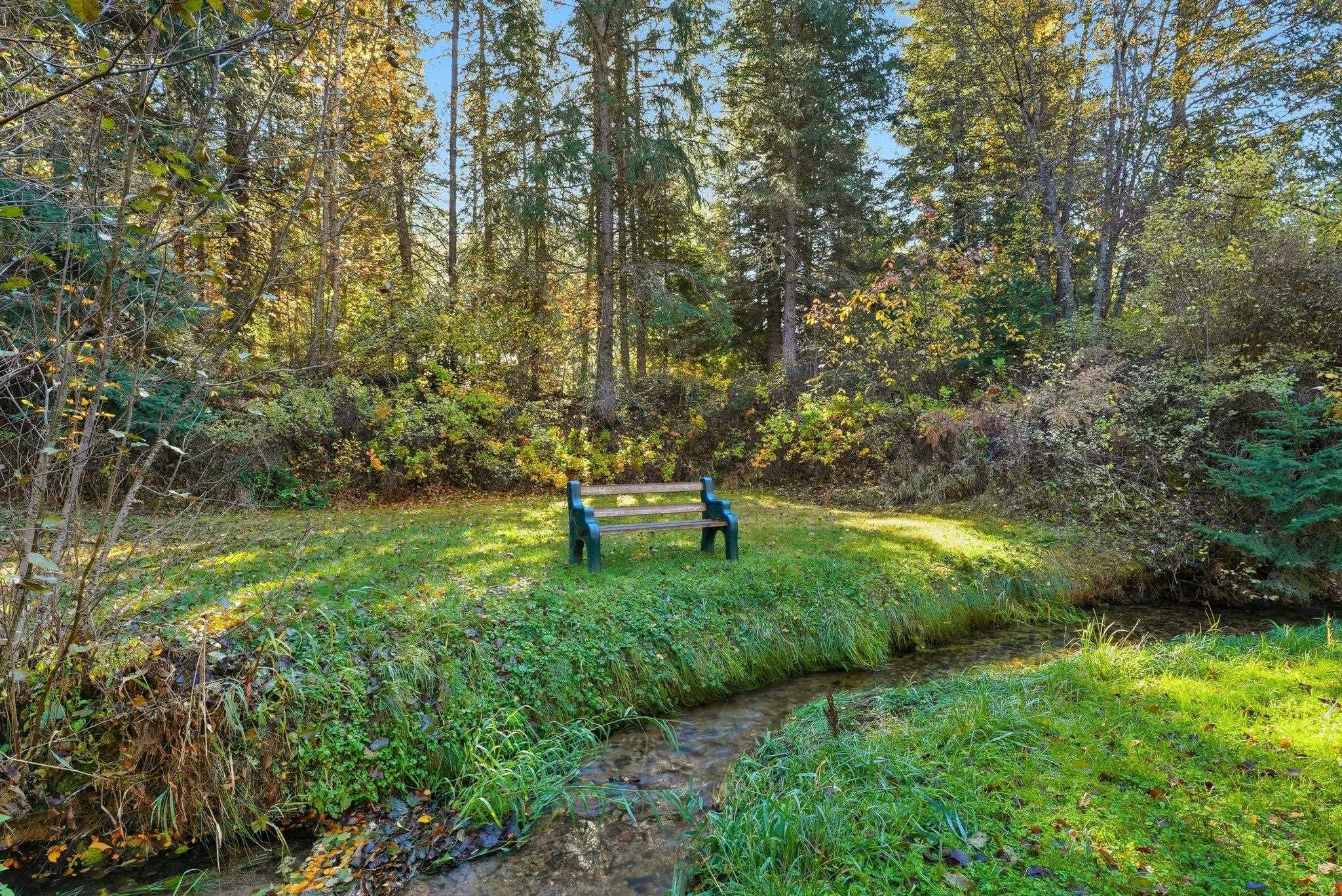 30324 N Elk Chattaroy Rd - Photo 2
