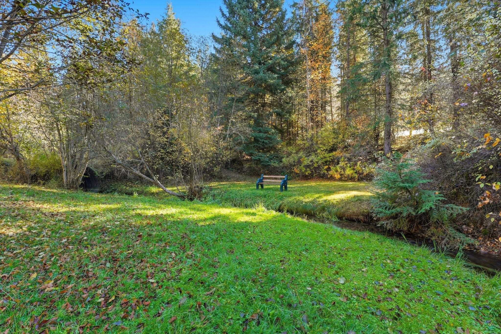 30324 N Elk Chattaroy Rd - Photo 6