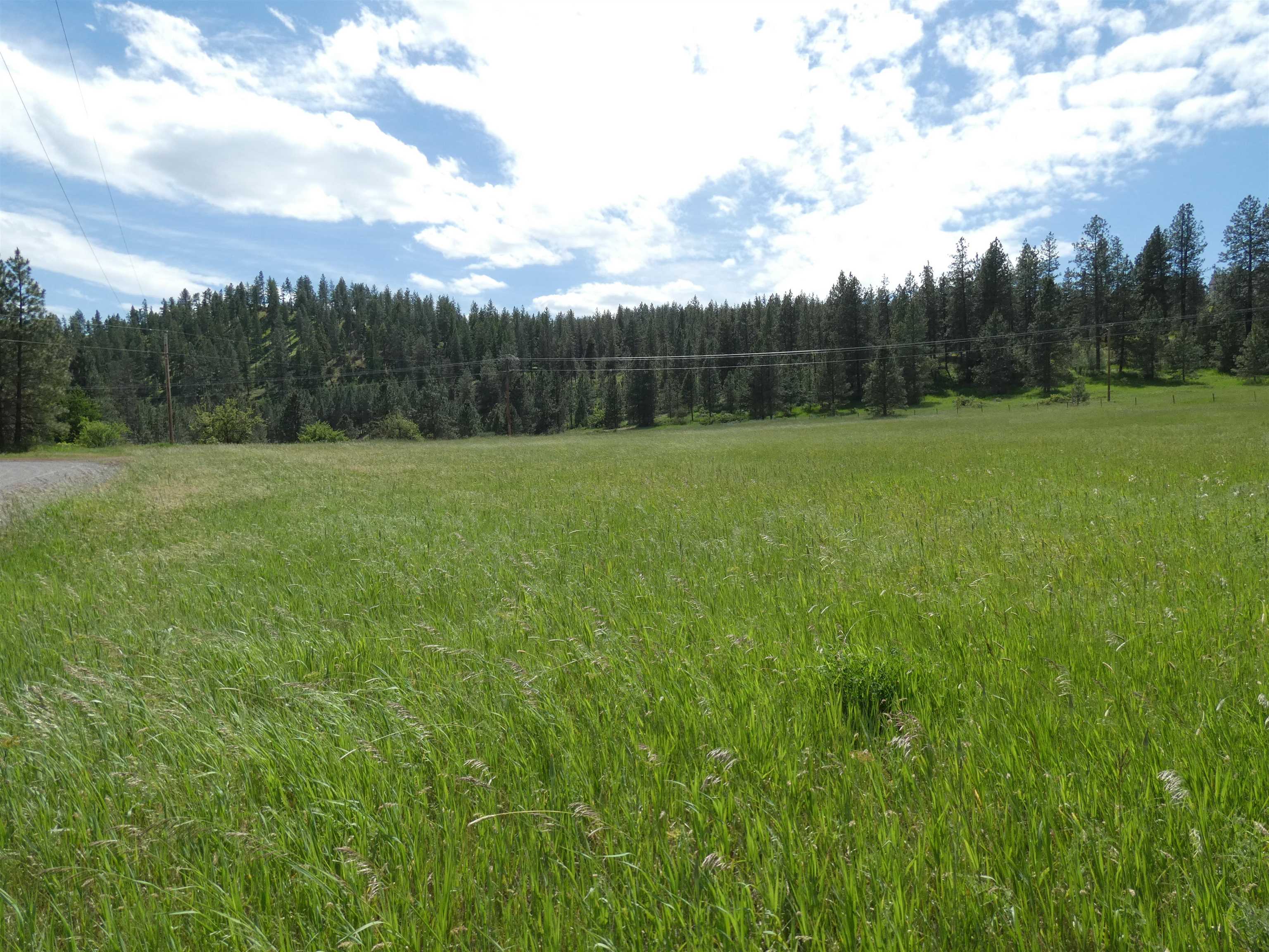 8309 W Jensen Rd - Photo 2