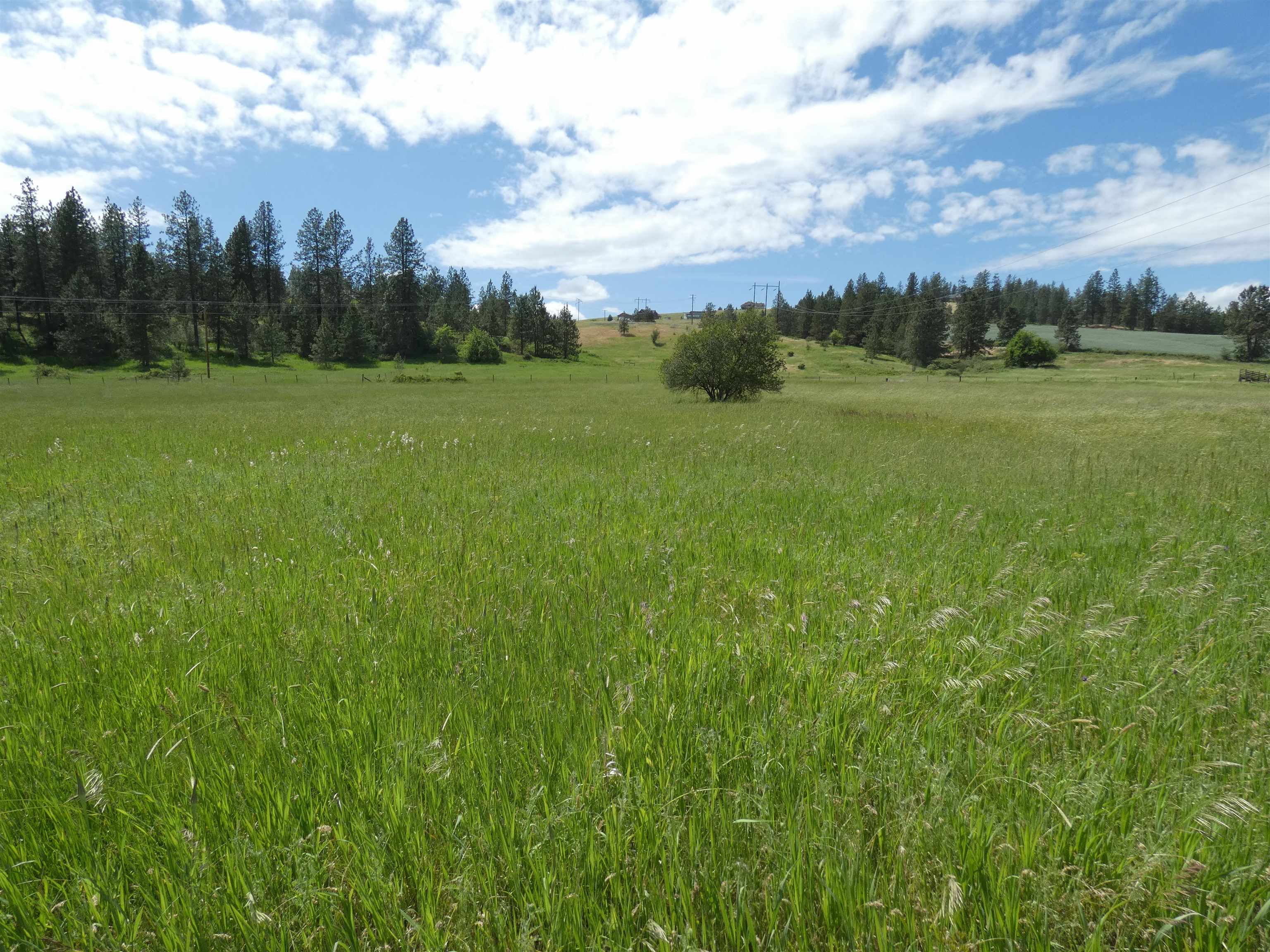 8309 W Jensen Rd - Photo 3