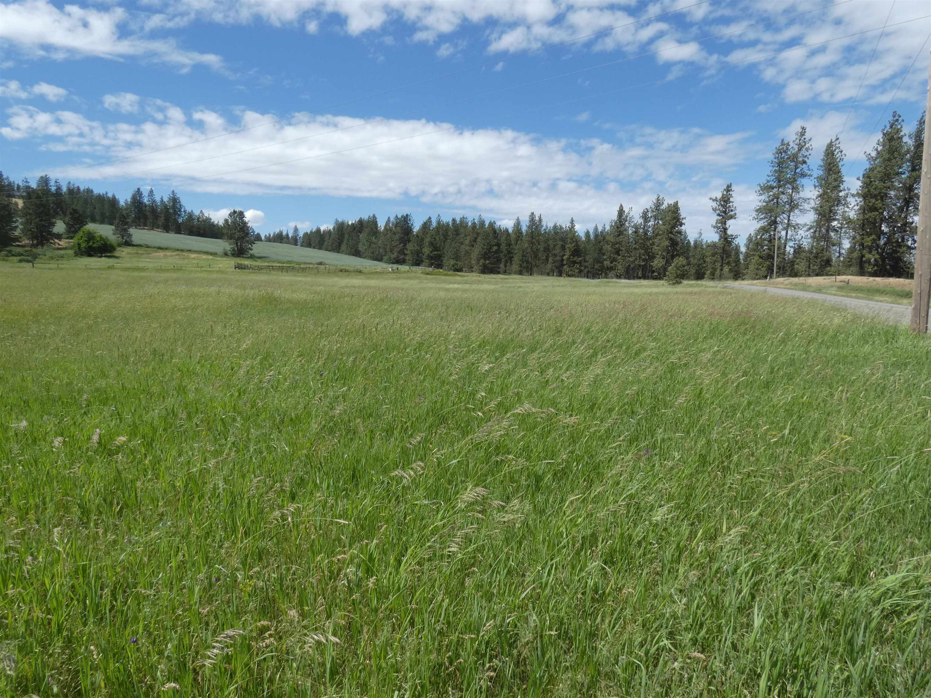 8309 W Jensen Rd - Photo 4