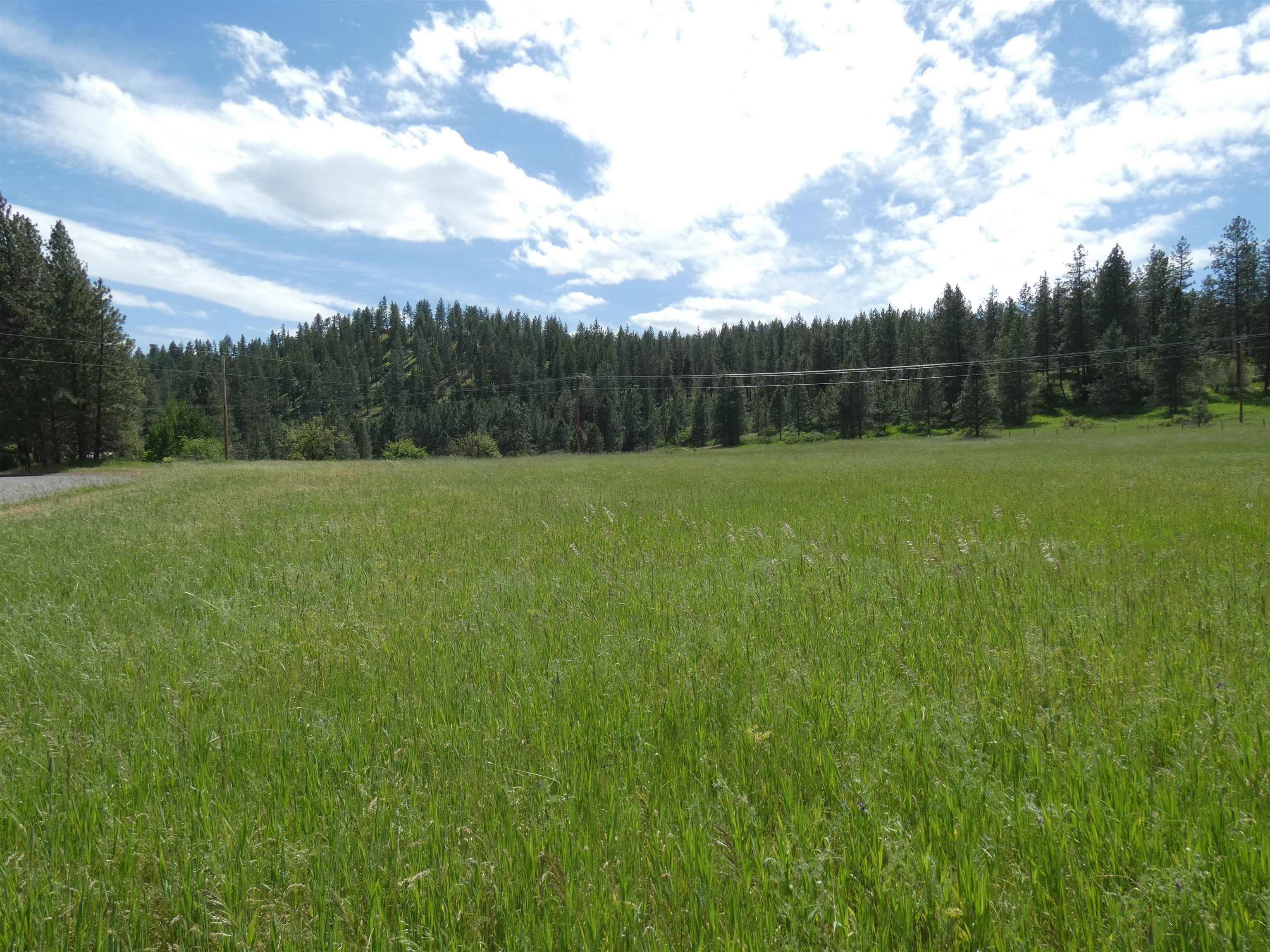 8309 W Jensen Rd - Photo 5