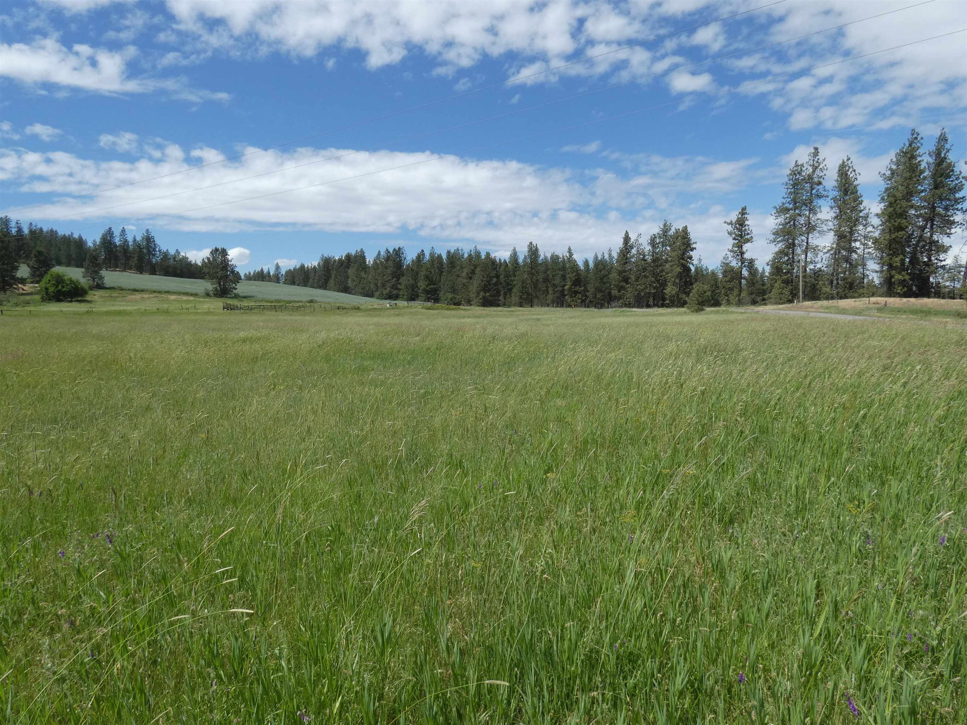 8309 W Jensen Rd - Photo 6