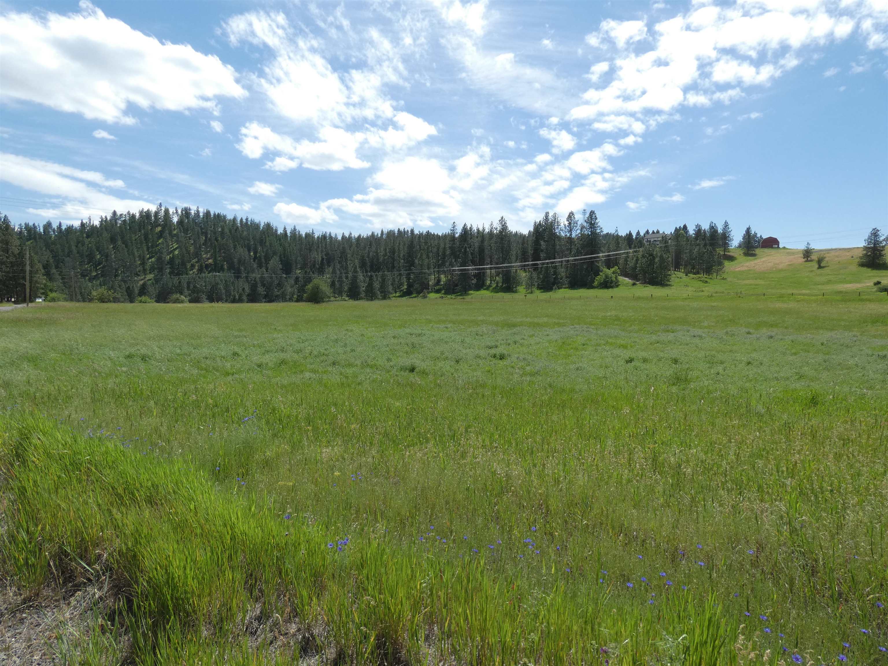 8309 W Jensen Rd - Photo 7
