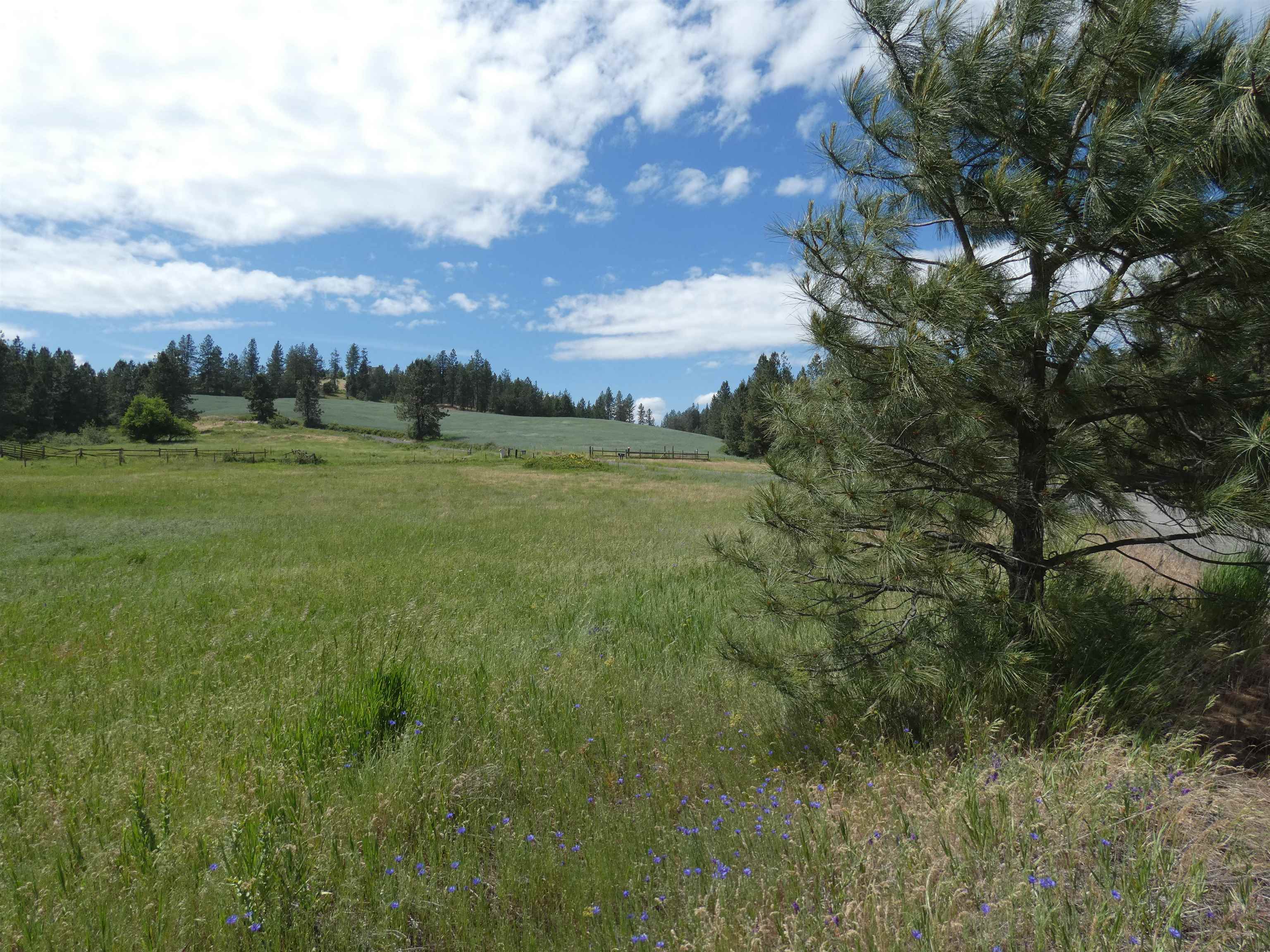8309 W Jensen Rd - Photo 8