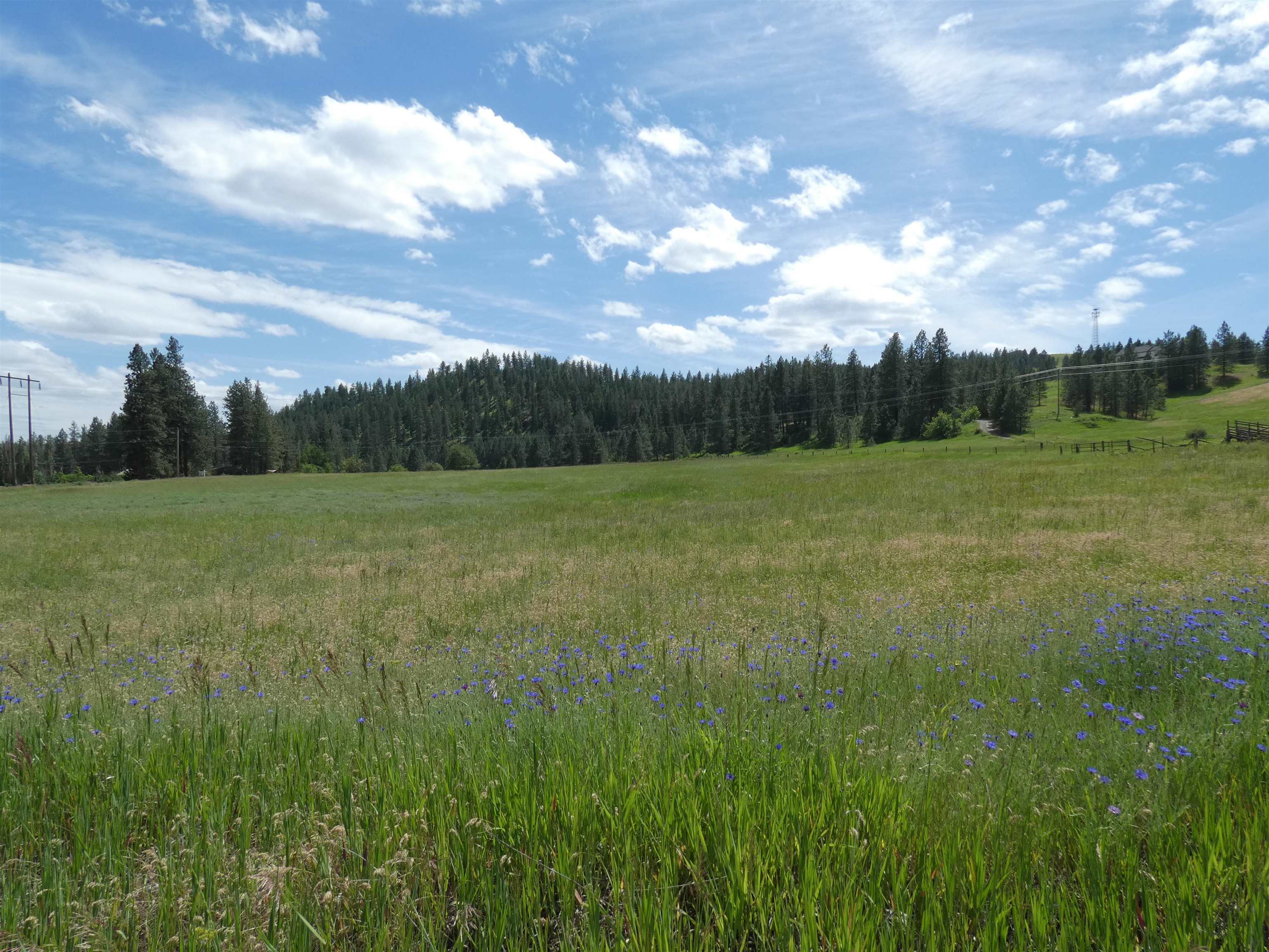 8309 W Jensen Rd - Photo 9