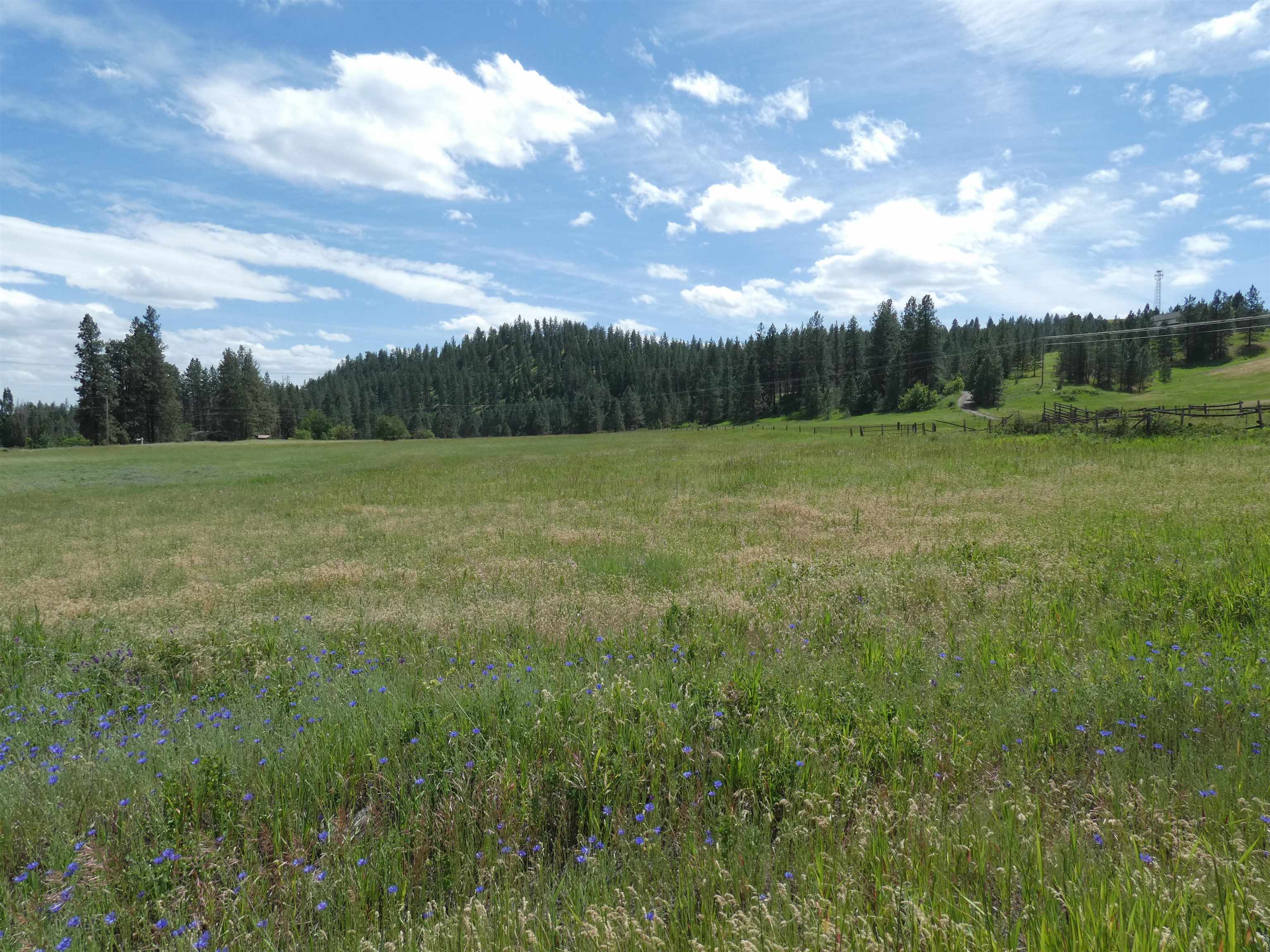 8309 W Jensen Rd - Photo 10