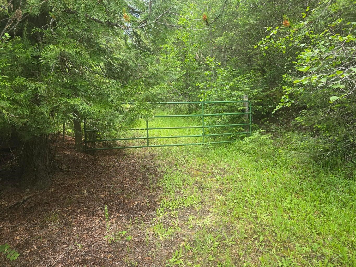 XXX Clugston Onion Creek Rd - Photo 2