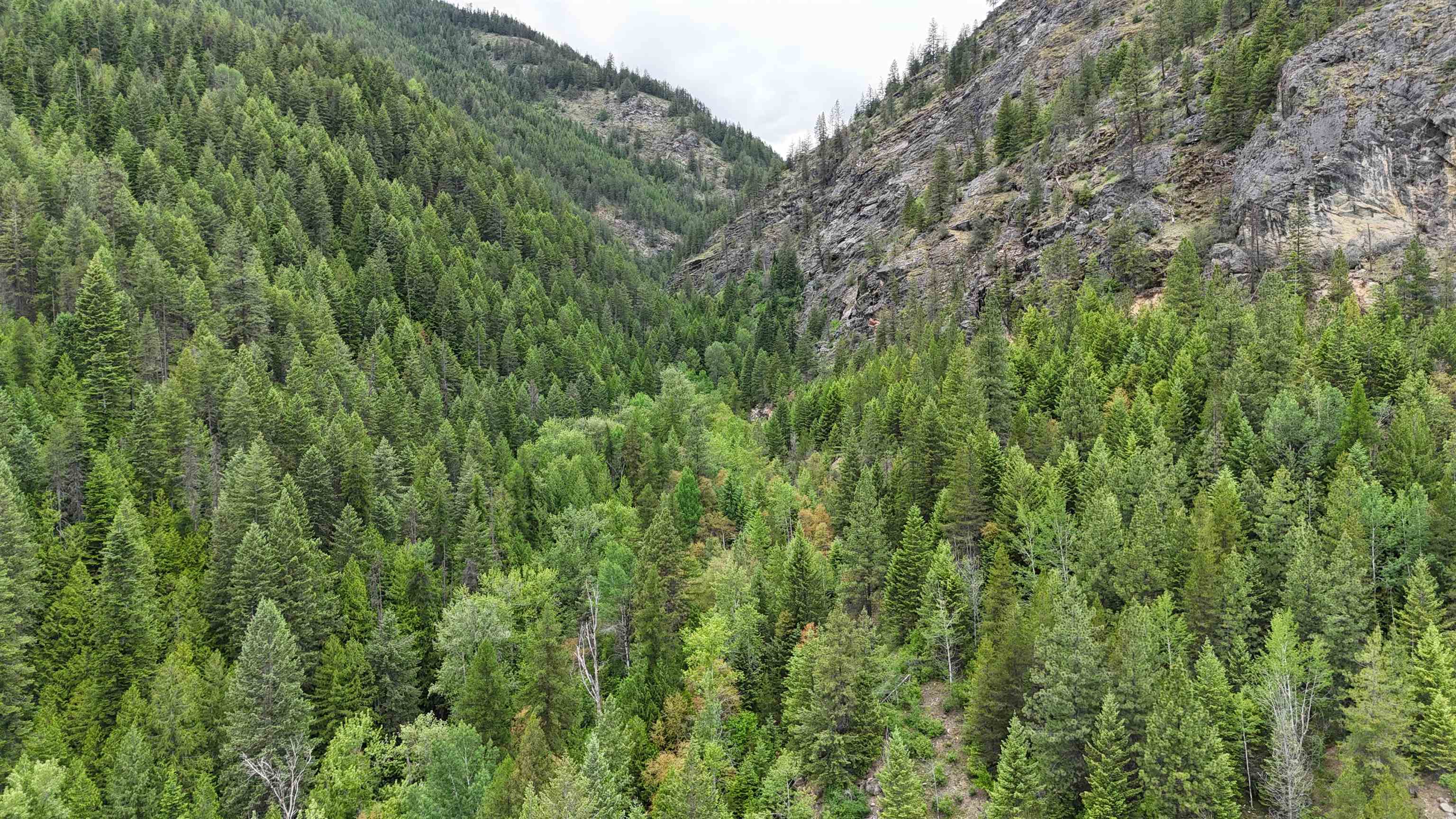 NKA Boundary Rd - Photo 23