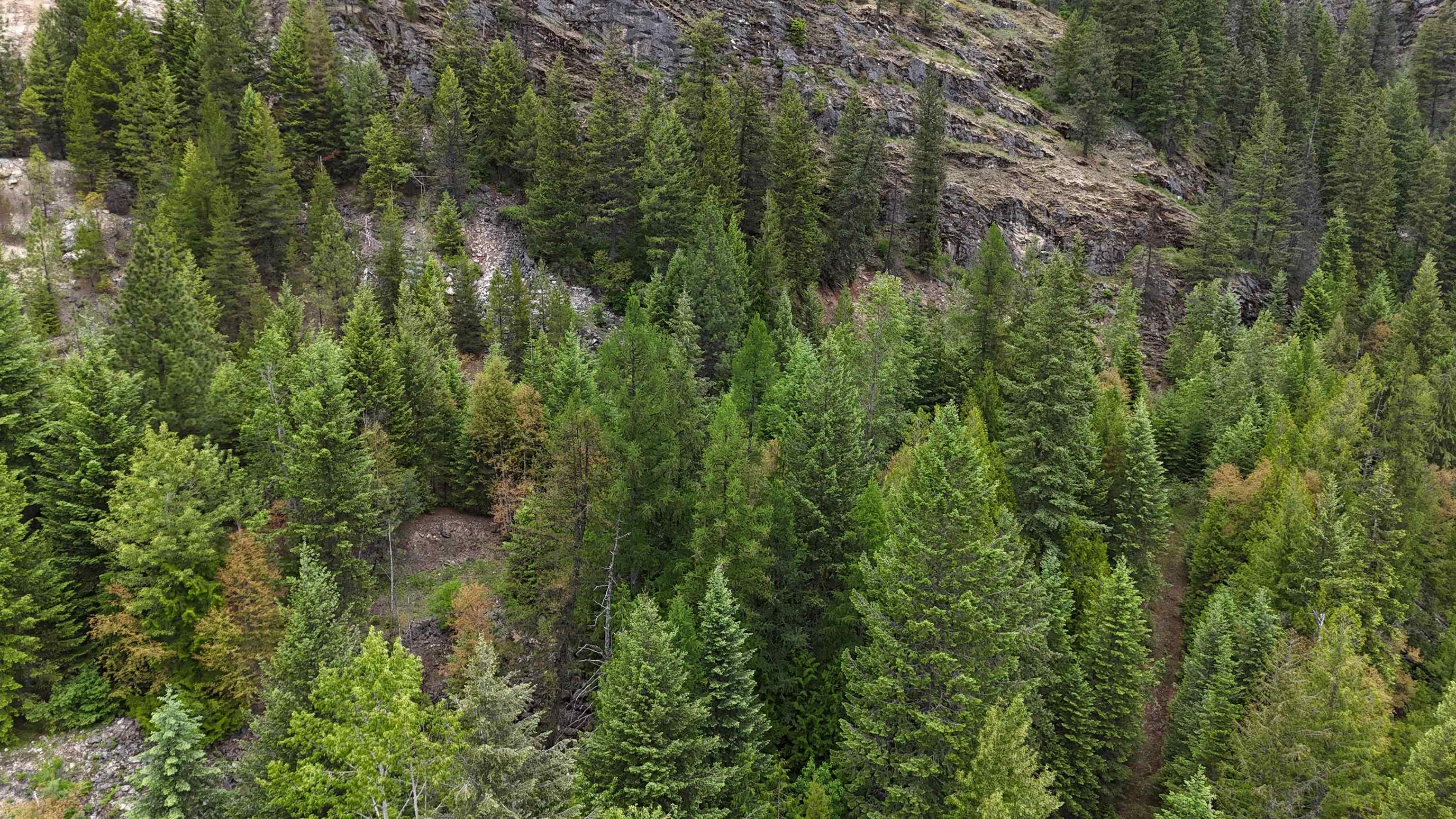 NKA Boundary Rd - Photo 26