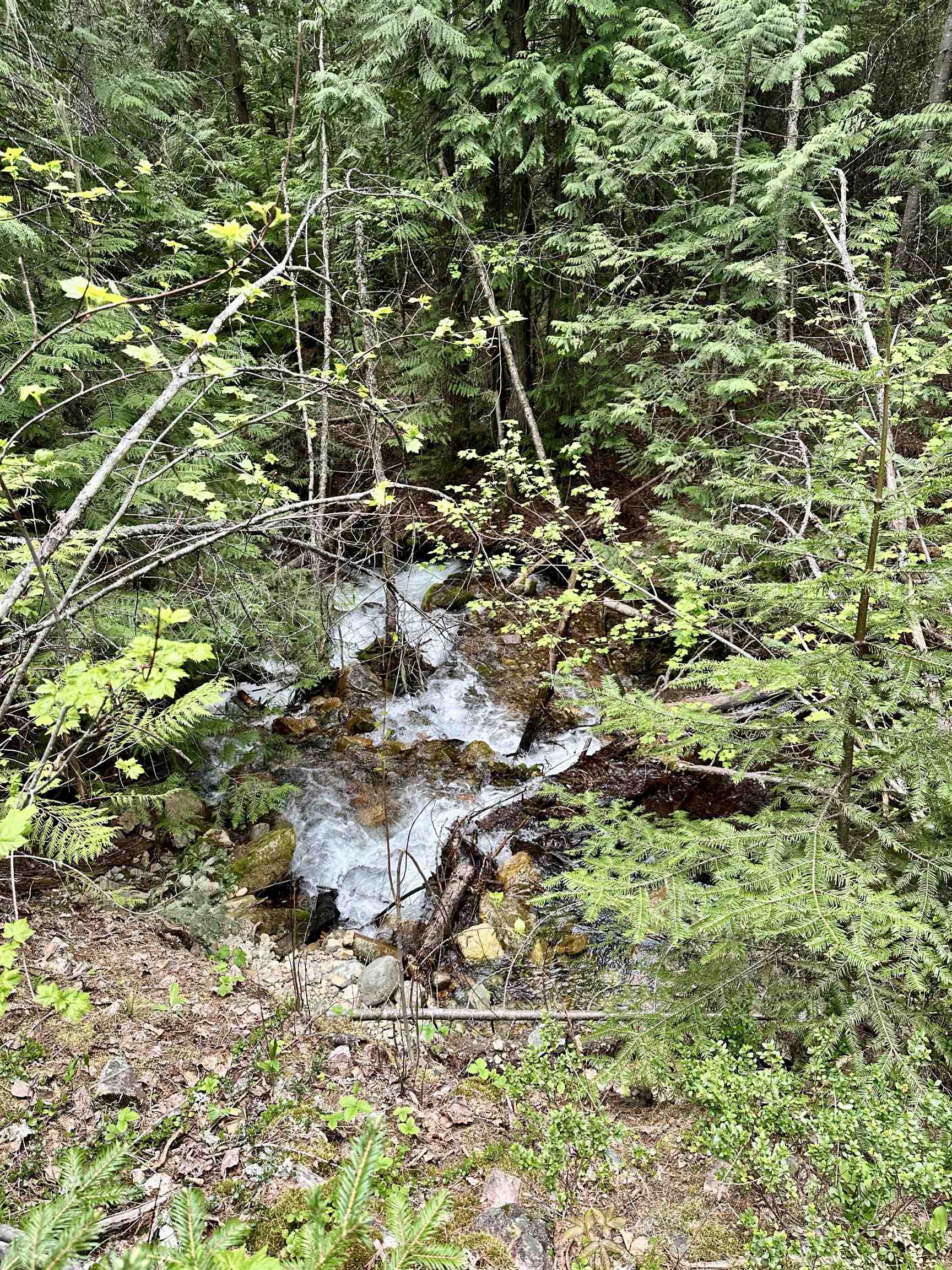 NKA Boundary Rd - Photo 31