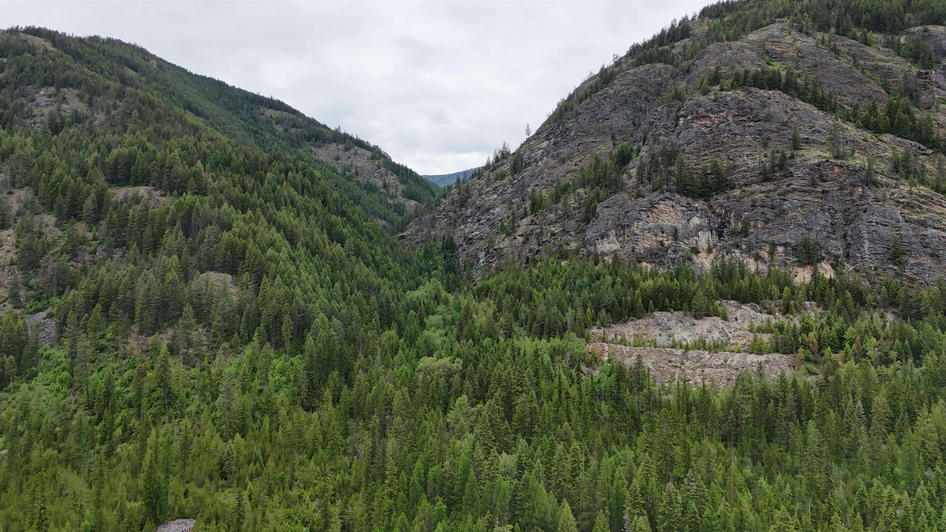 NKA Boundary Rd - Photo 36