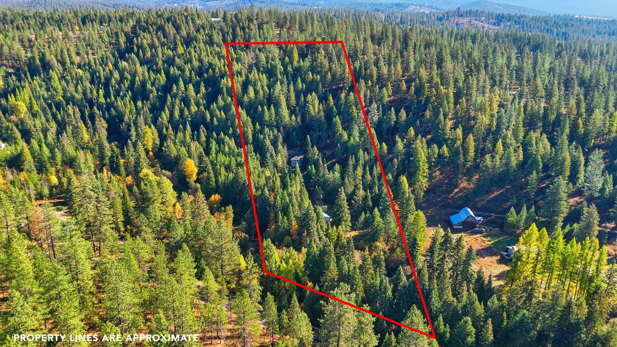 30324 N Elk Chattaroy Rd - Photo 3