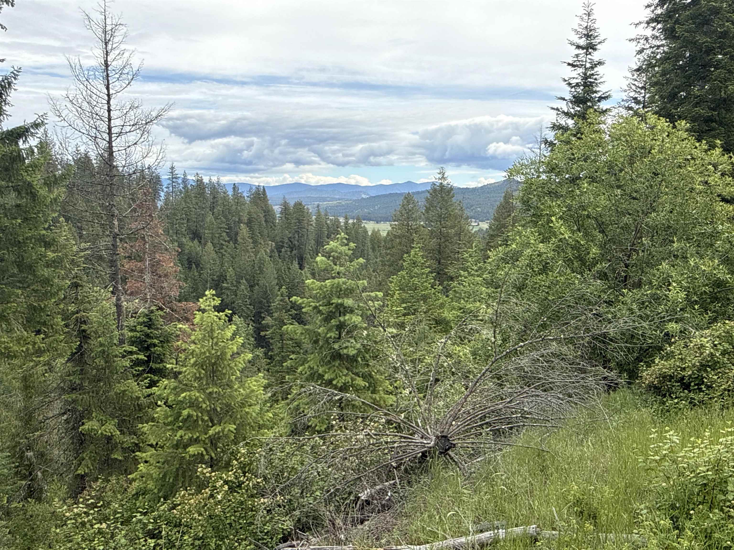 NKA Deer Creek Rd - Photo 2