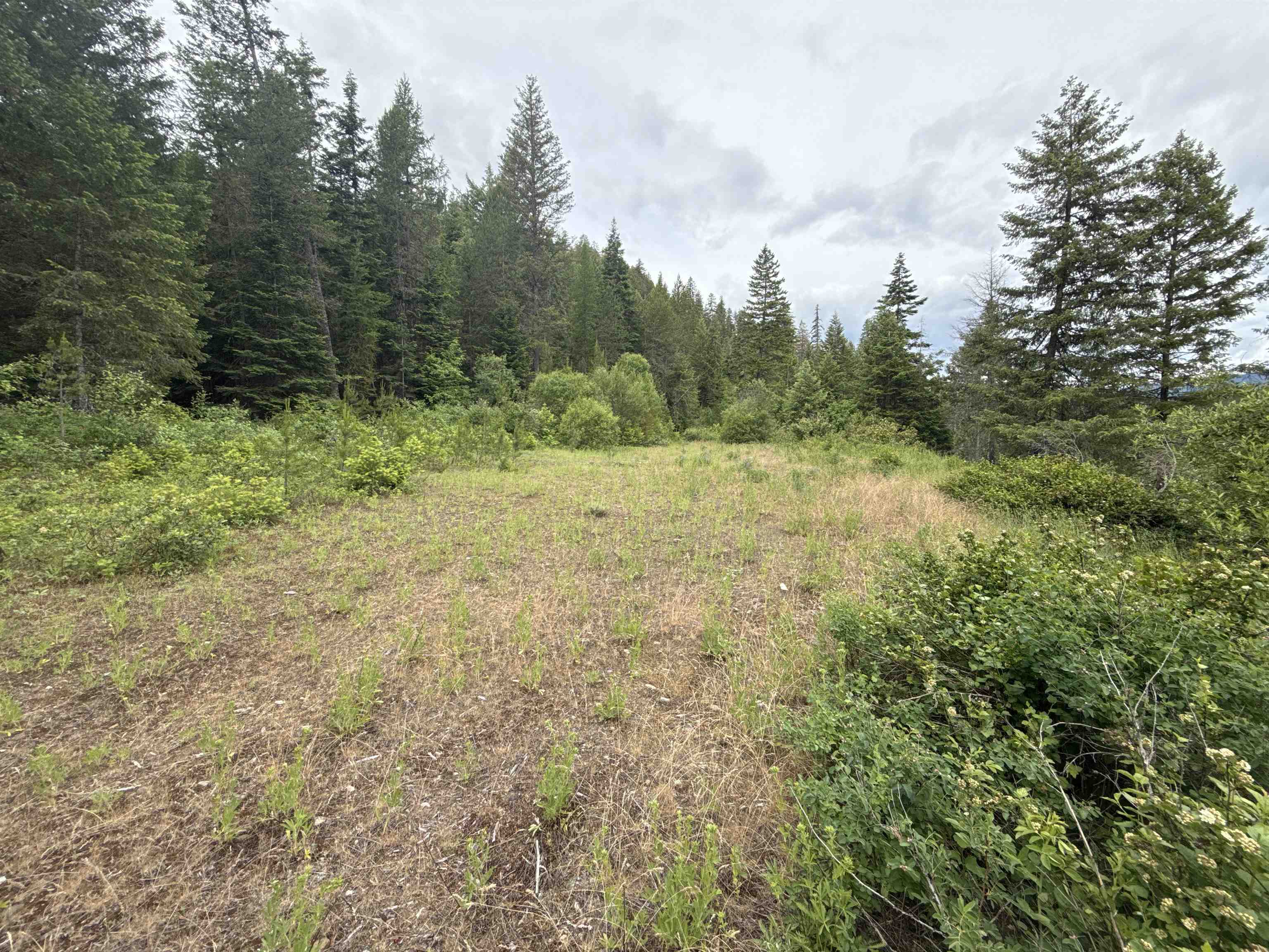 NKA Deer Creek Rd - Photo 3