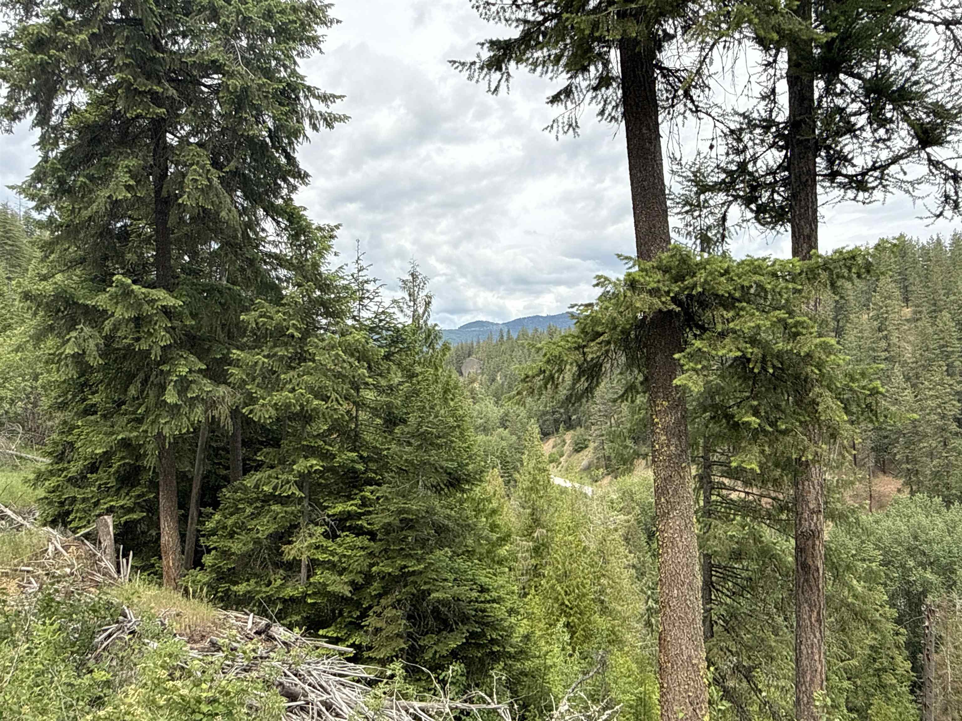 NKA Deer Creek Rd - Photo 4