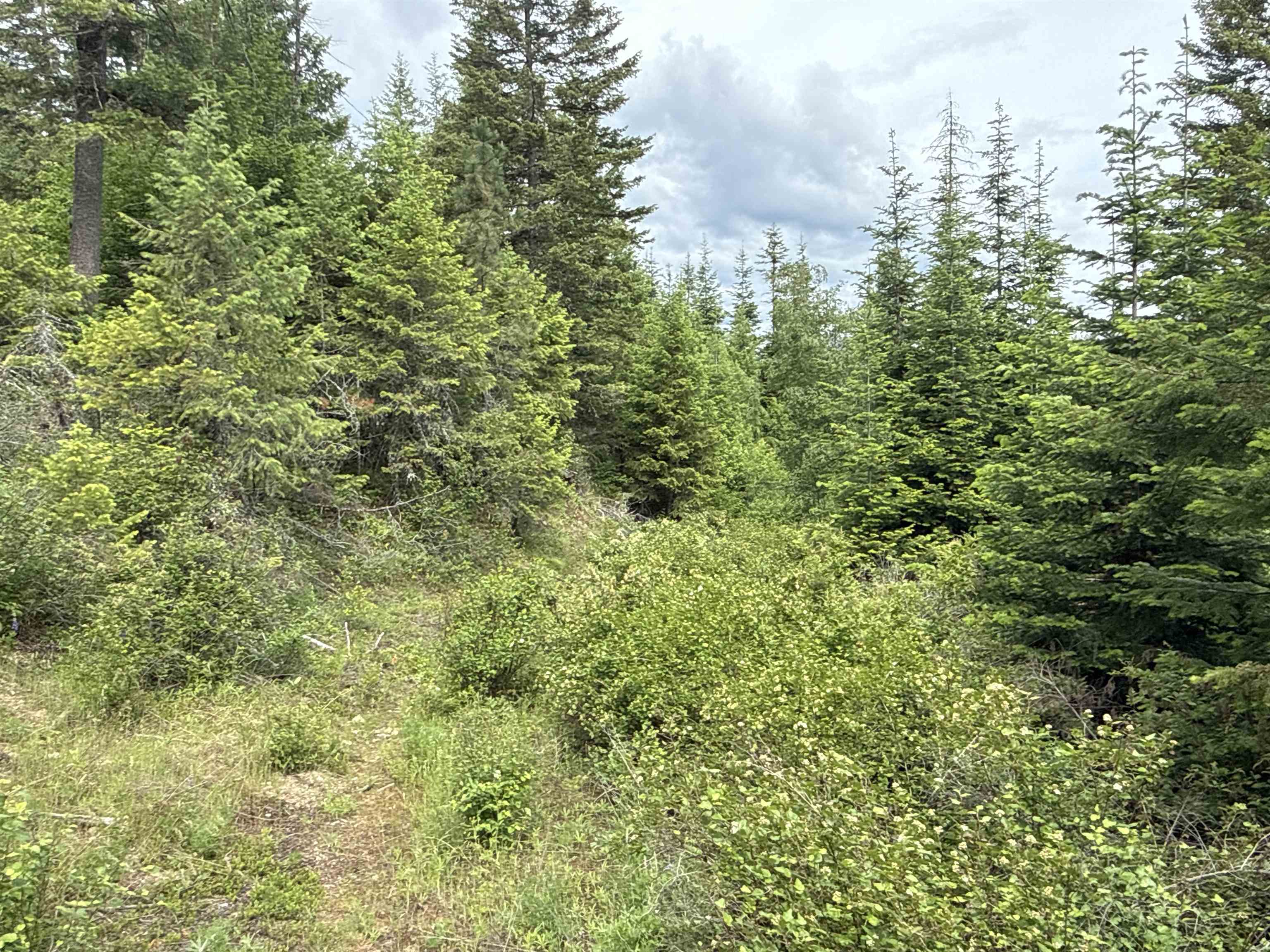 NKA Deer Creek Rd - Photo 5