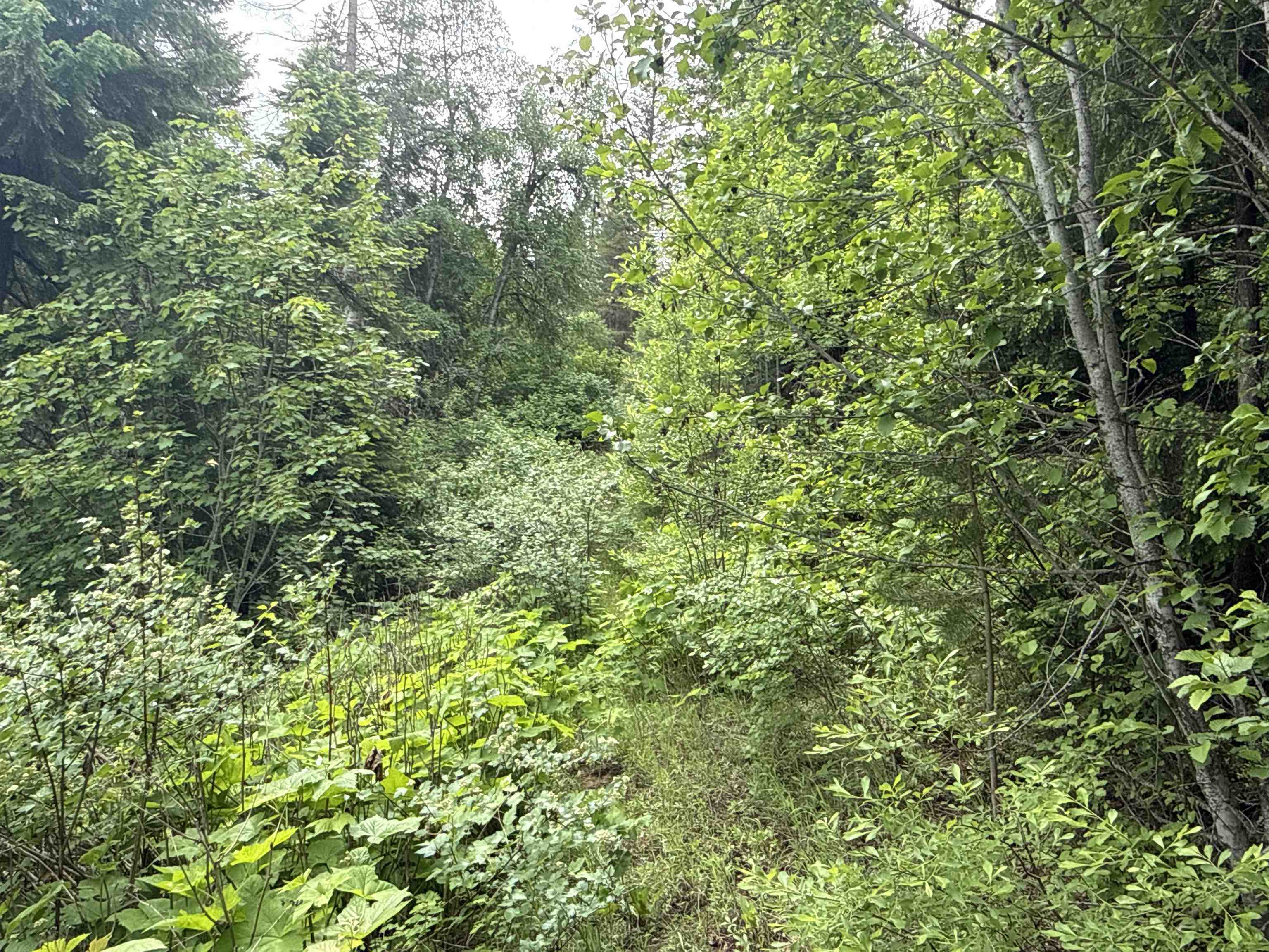 NKA Deer Creek Rd - Photo 6