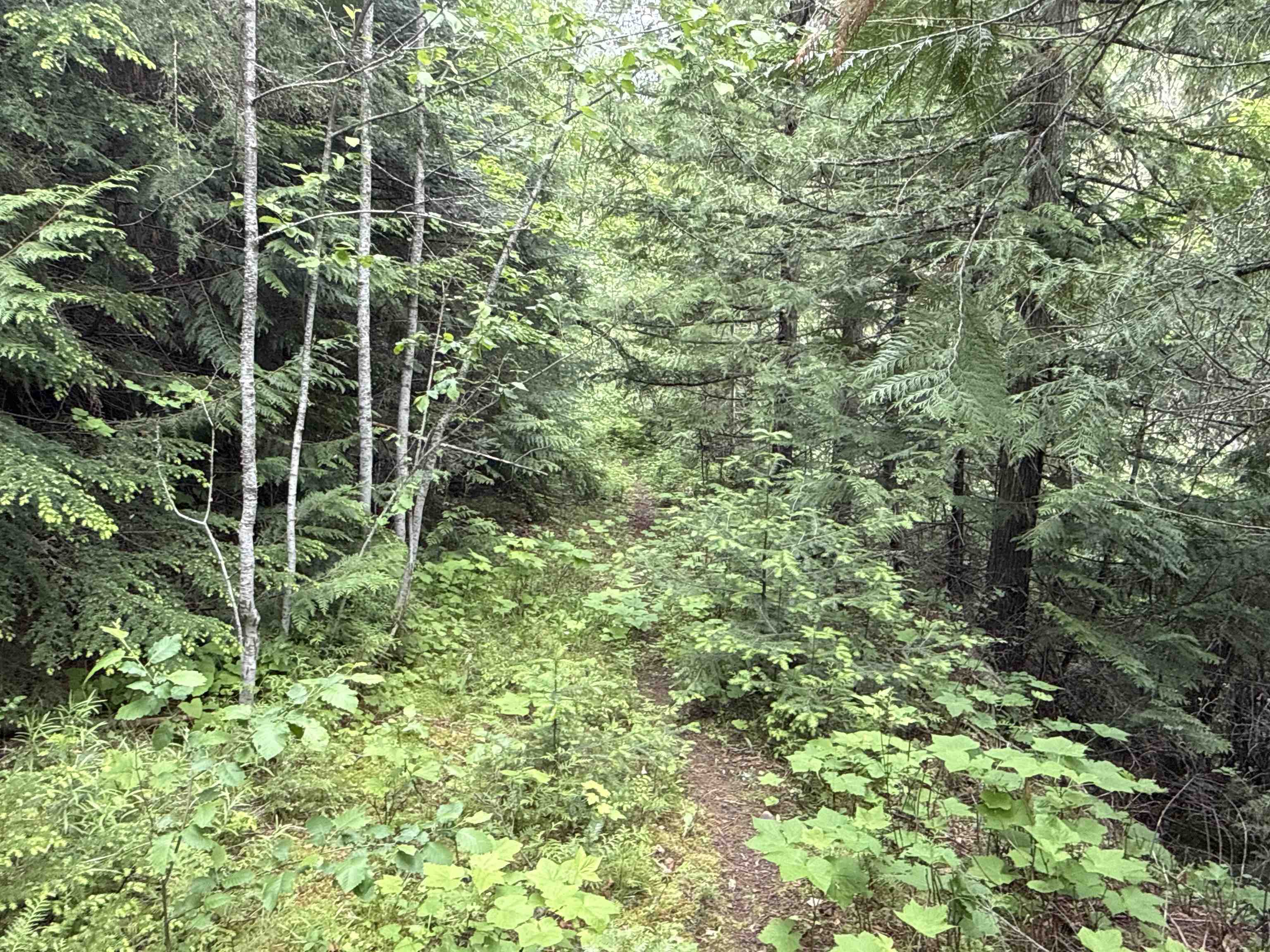 NKA Deer Creek Rd - Photo 8