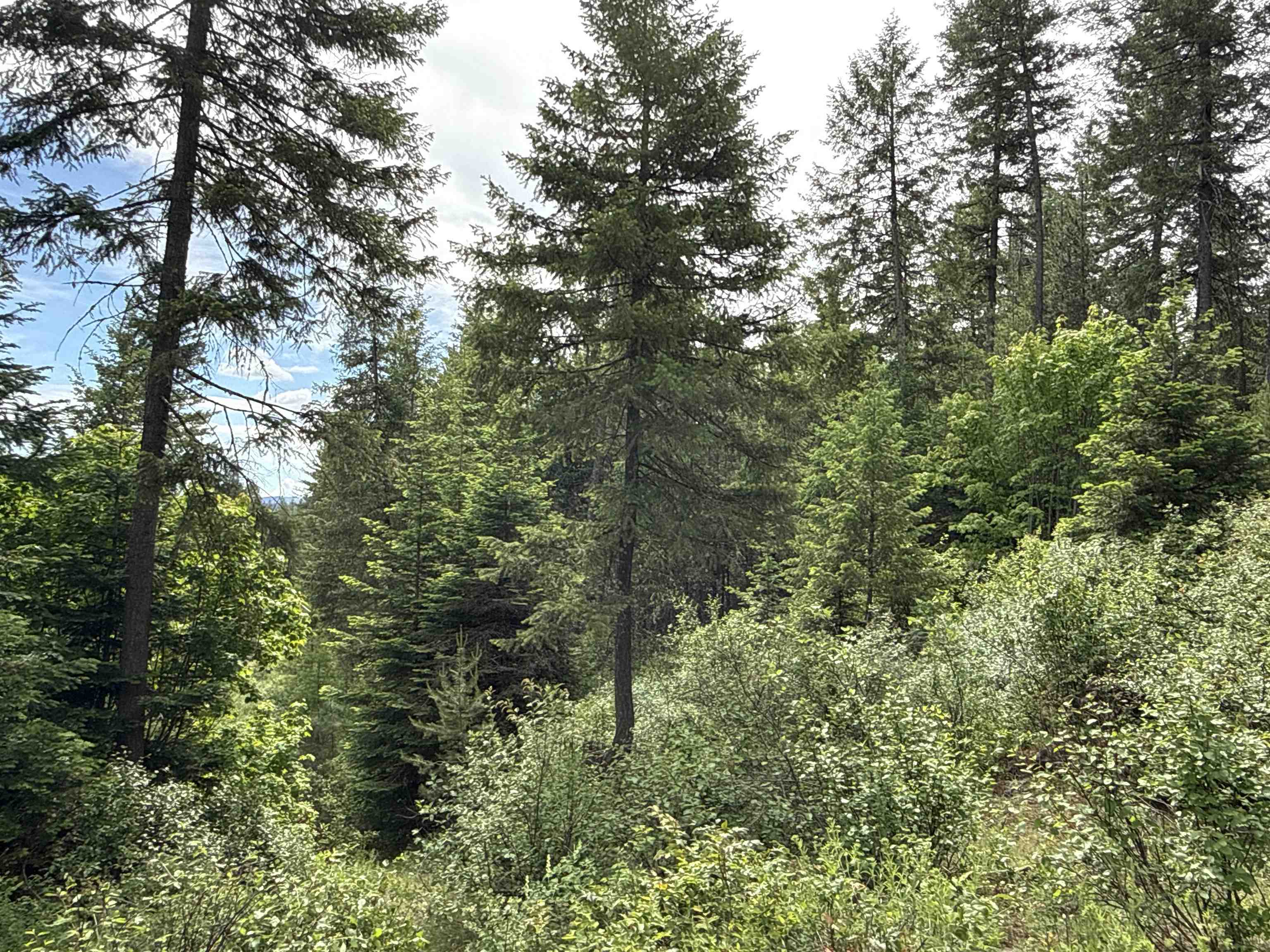 NKA Deer Creek Rd - Photo 9
