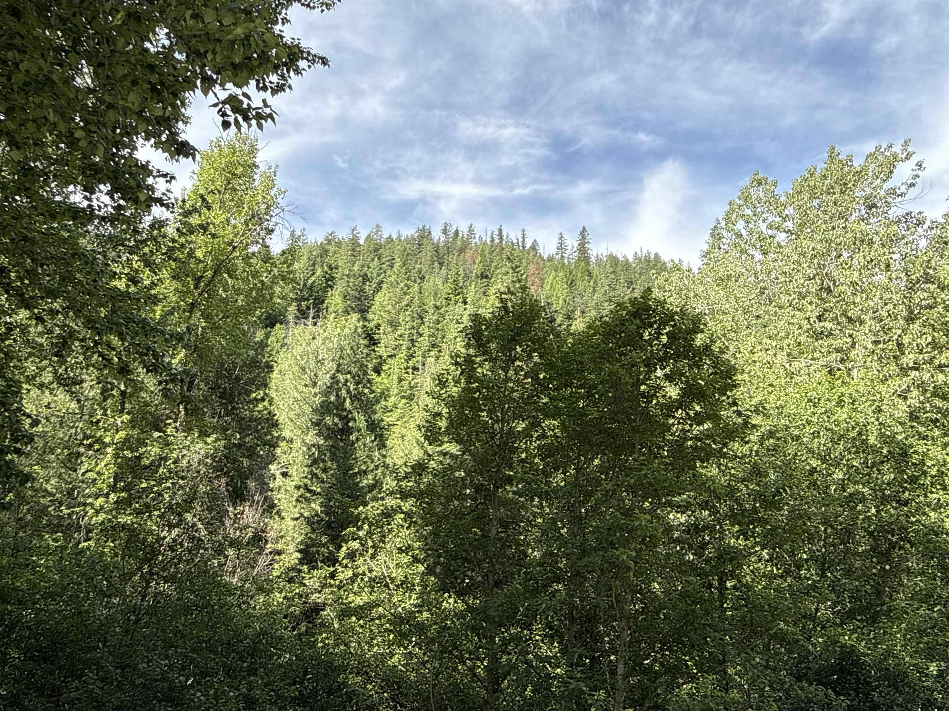 NKA Deer Creek Rd - Photo 11